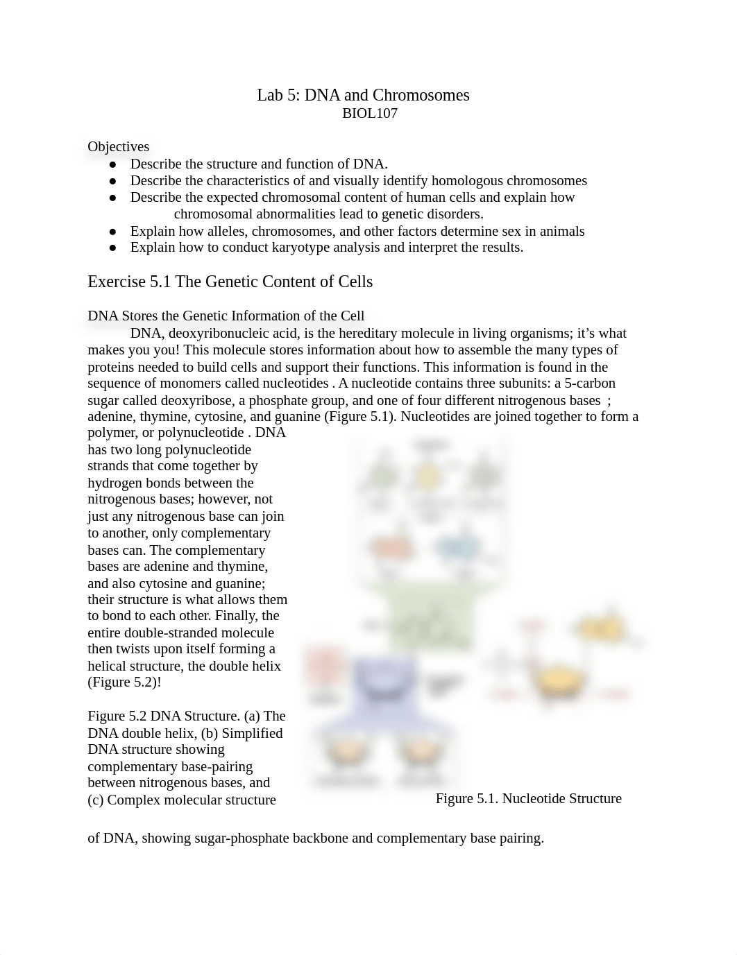 Lab 5 - DNA and Chromosomes - The Genetic Content of Cells.docx_dp8e3yb5148_page1