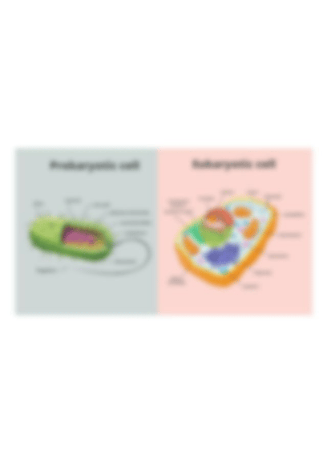 Eukaryotic-Cell-and-pRo-karyotic-celll-banner-1024x576.png_dp8h7dj6aud_page1