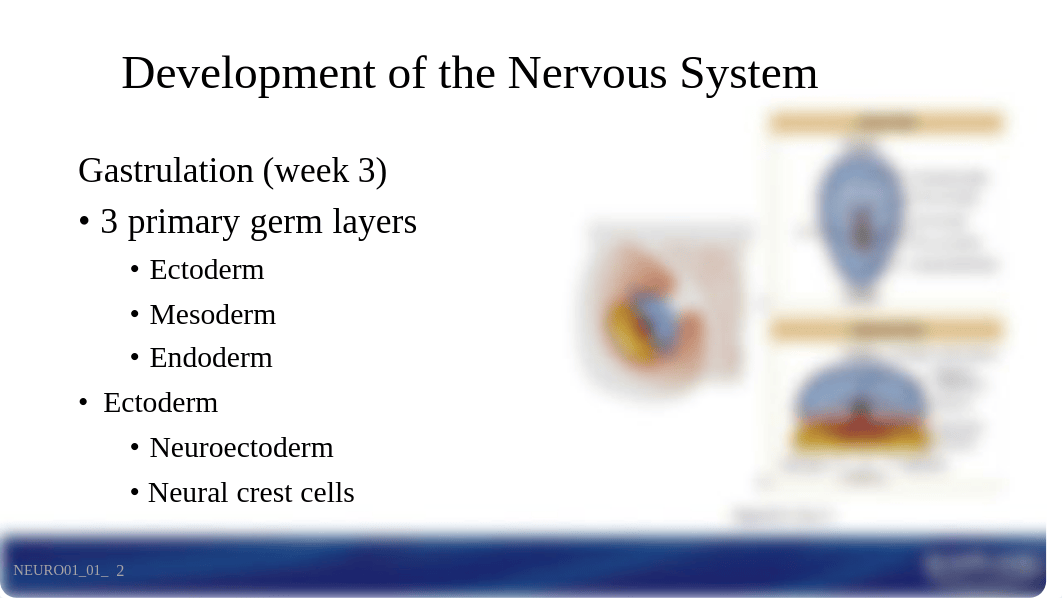 NeuroCoursepack.pdf_dp9426cnh2t_page2