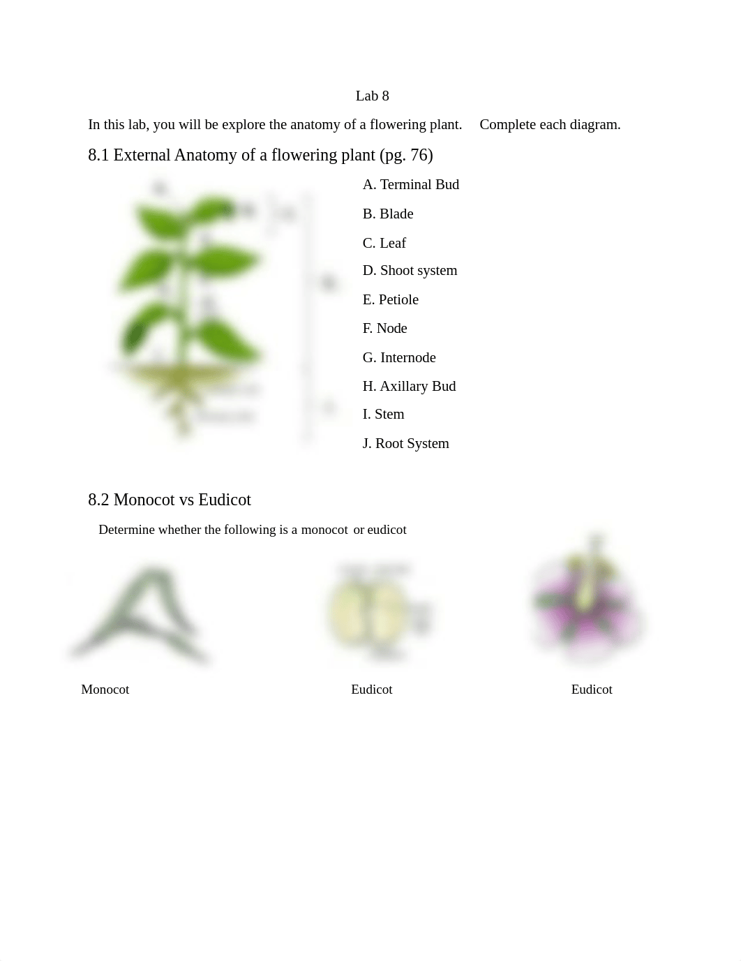 Lykins_Hadley_Lab Assignment 8.docx_dp94bdye3ov_page1