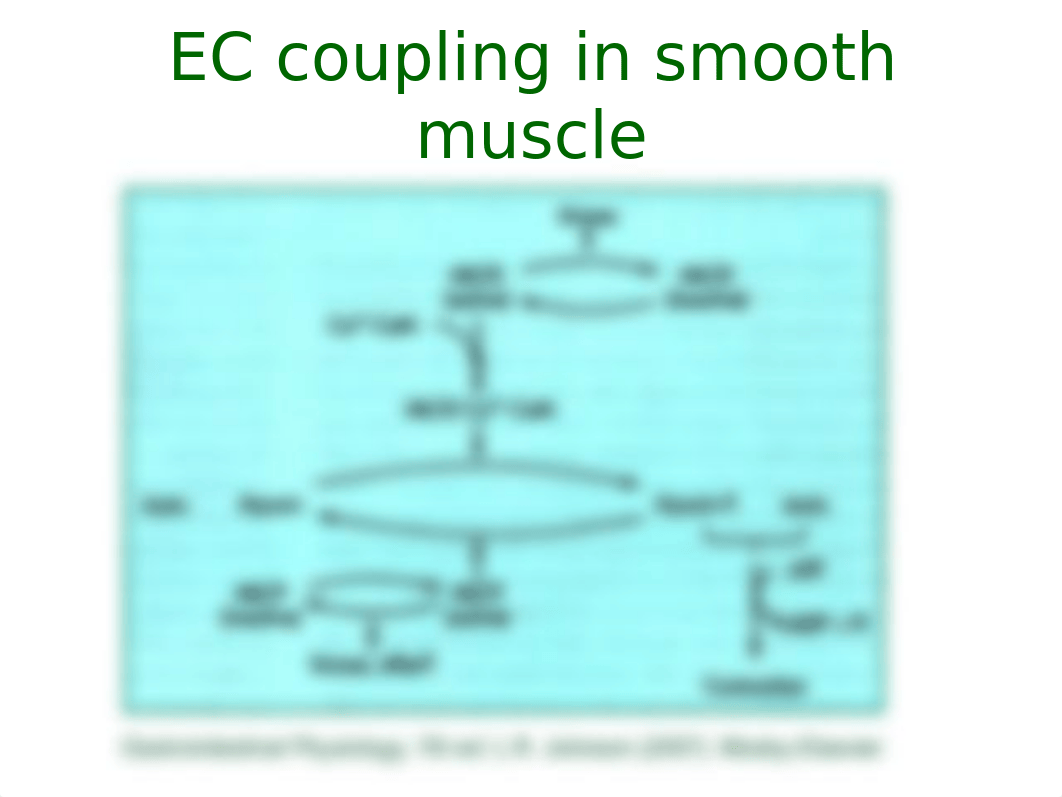 GI_Motility_13_Lecture_-133573_dp97pl5hcpx_page4