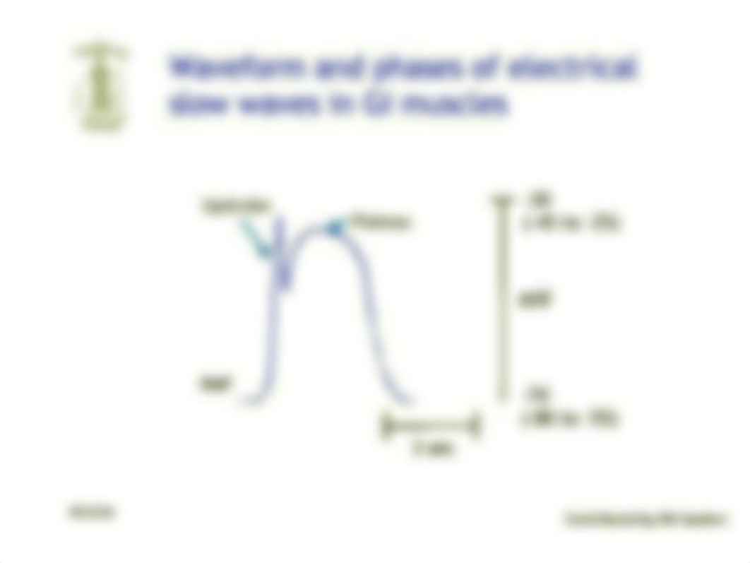 GI_Motility_13_Lecture_-133573_dp97pl5hcpx_page5