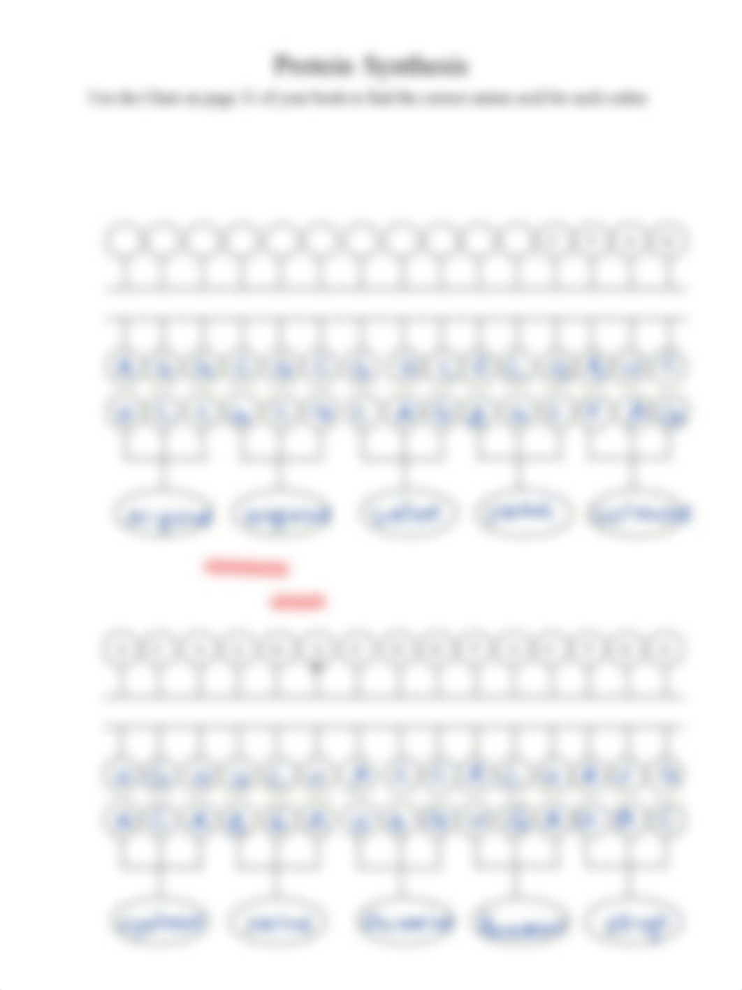 annotated-protein%20synthesis_Ming.pdf_dp9cgp477sq_page1