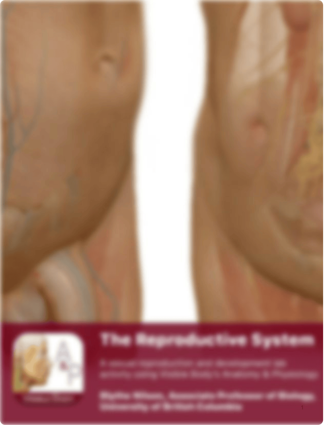 BIOL 1162 VB - the reproductive system.pdf_dp9w4x5civ3_page1