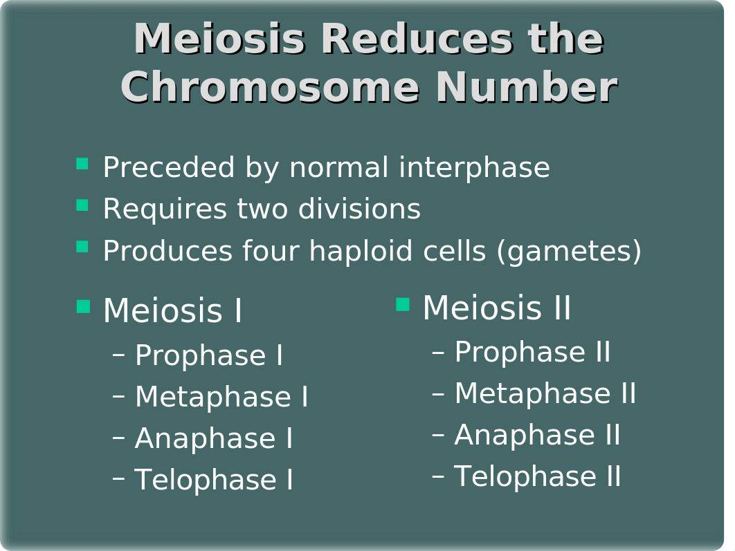 Meiosis Ch. 13.ppt_dpa8yjo80a4_page4