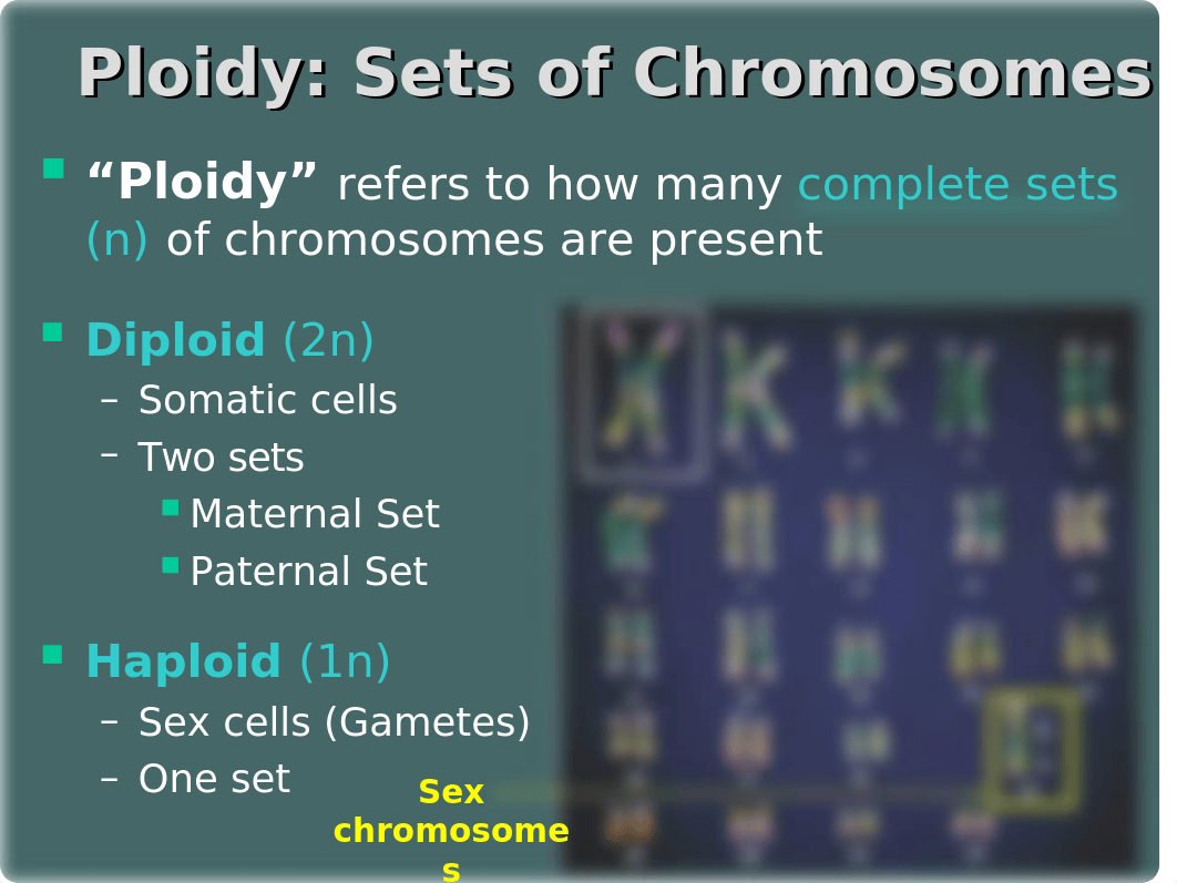 Meiosis Ch. 13.ppt_dpa8yjo80a4_page3