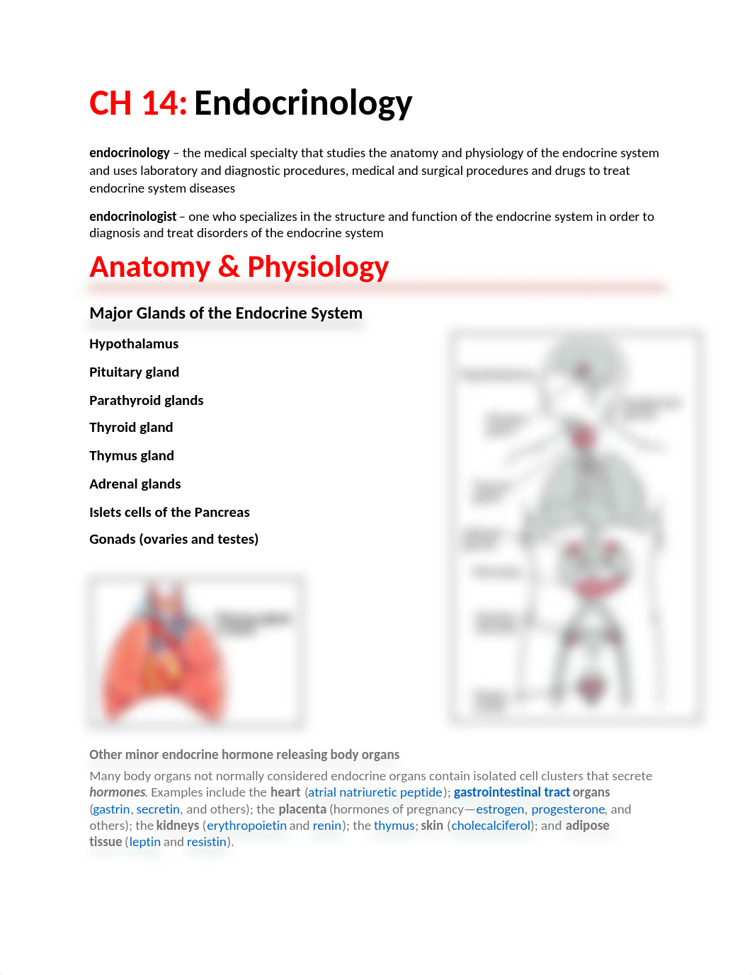 CH 14 - ENDOCRINOLOGY - HLTH 110-3.docx_dpaibhg2myq_page1