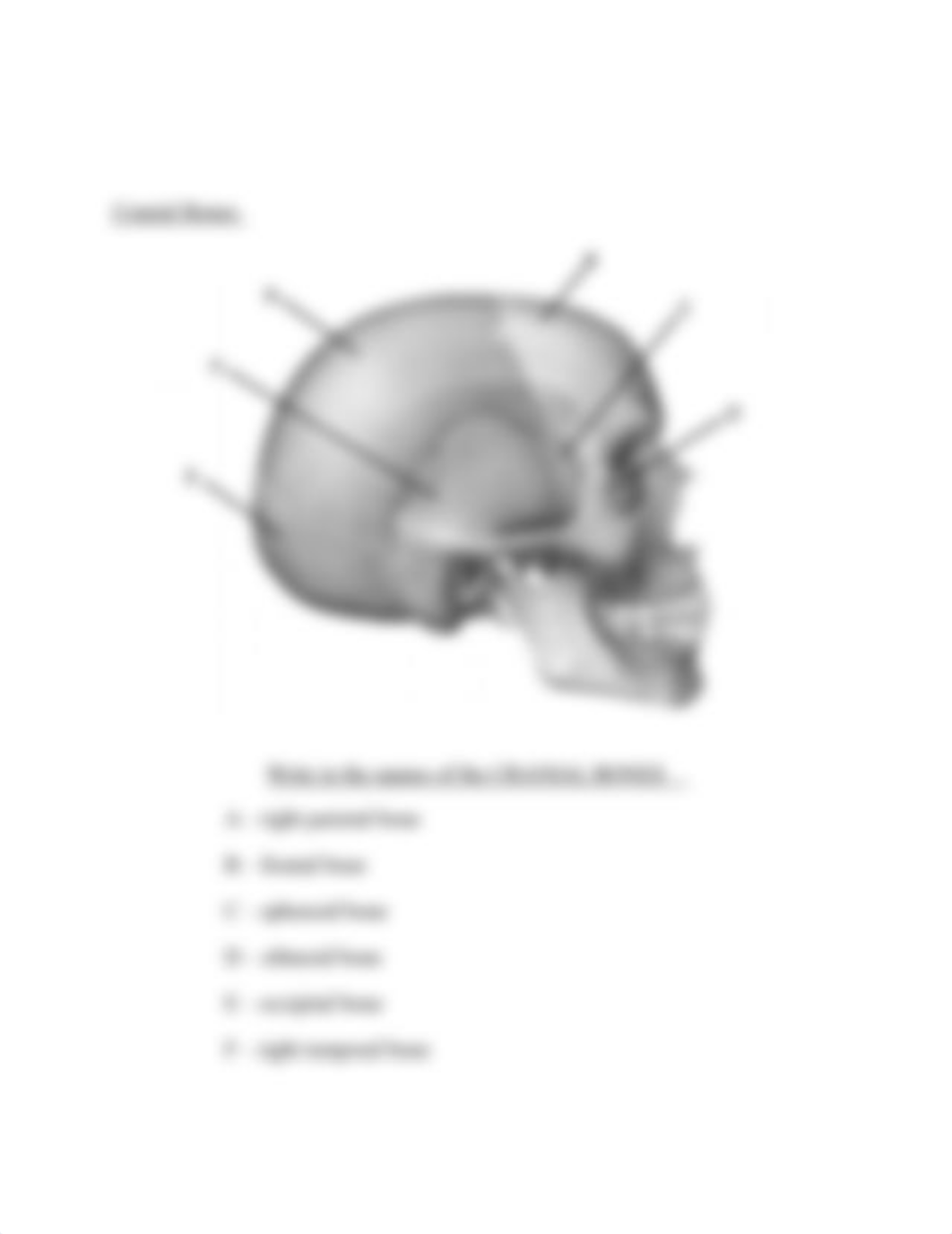 Answers Lab #4 Summer 2020.docx_dpajc2jqknj_page4