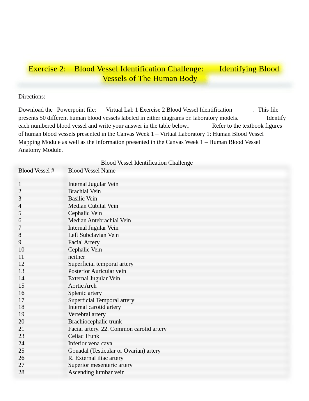 VirtualLaboratory1HumanBloodVesselMapping.docx_dpakk6ofwrb_page3