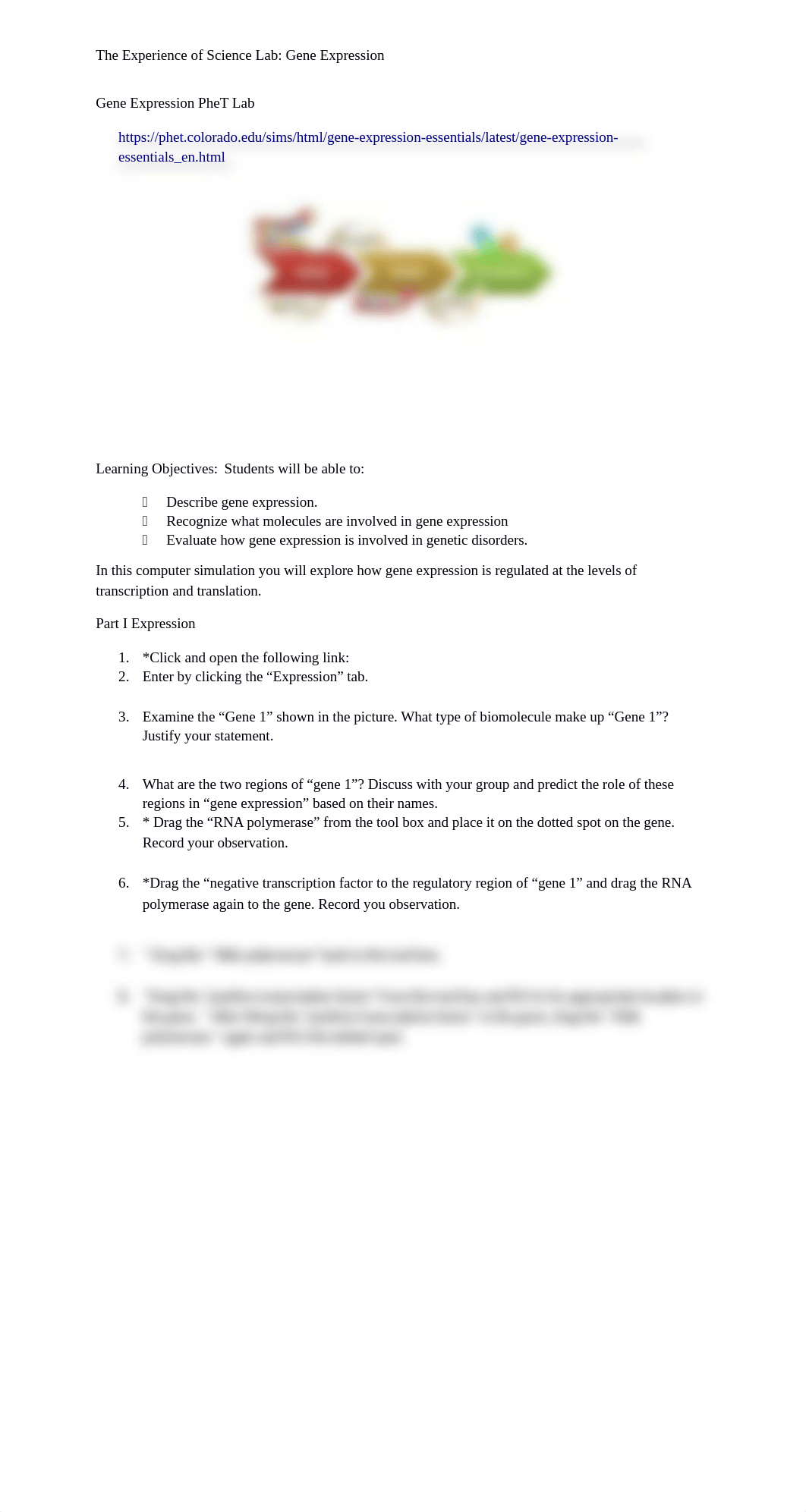 Phet Simulation Gene Expression.docx_dpal06iwisk_page1