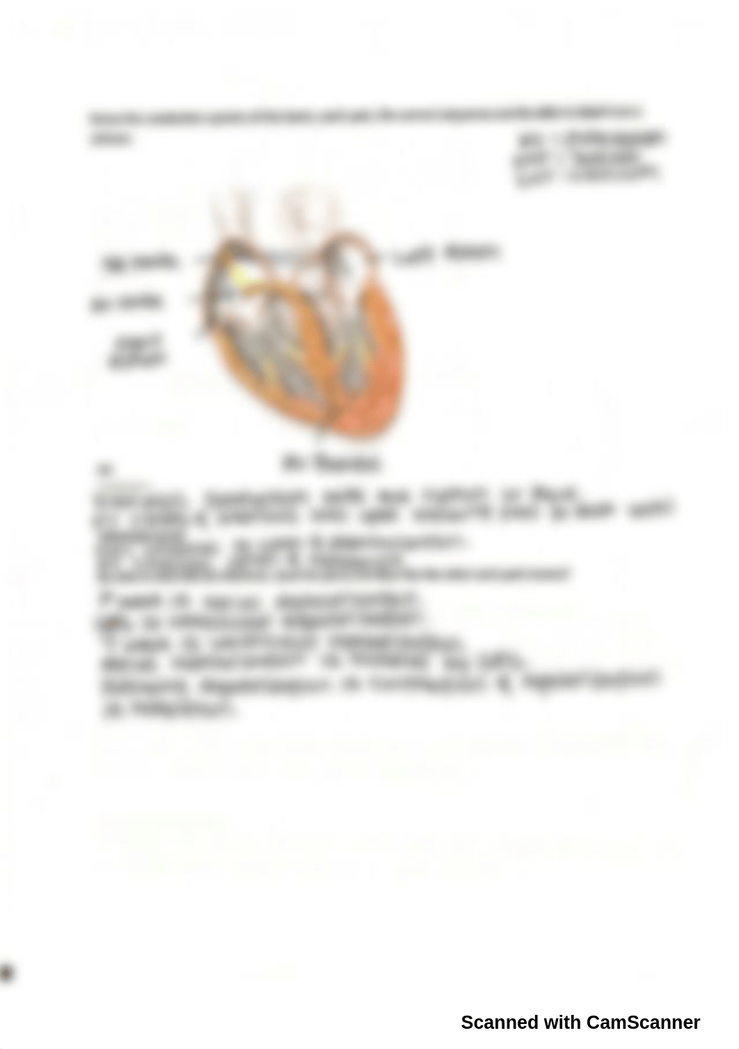 Chapter 18 & 19 midterm review.pdf_dpay7itmfjy_page4