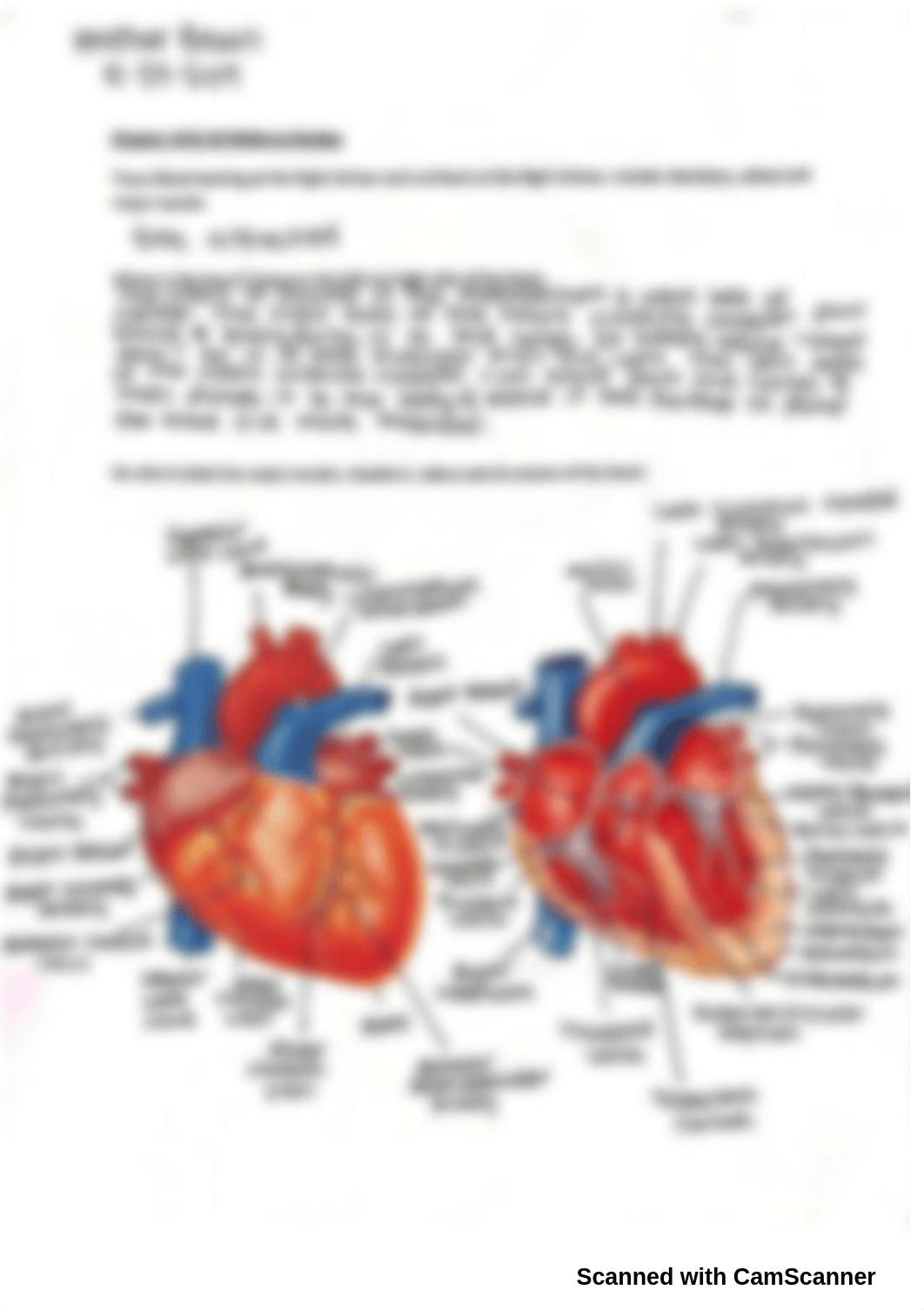 Chapter 18 & 19 midterm review.pdf_dpay7itmfjy_page1