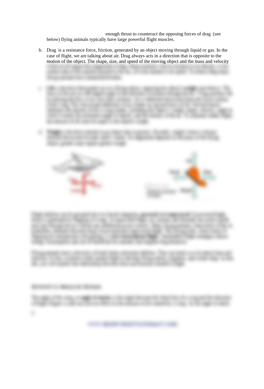 Lab3.BLUE_Natures_Flying_MachinesBio61F20.docx_dpb604c0343_page2