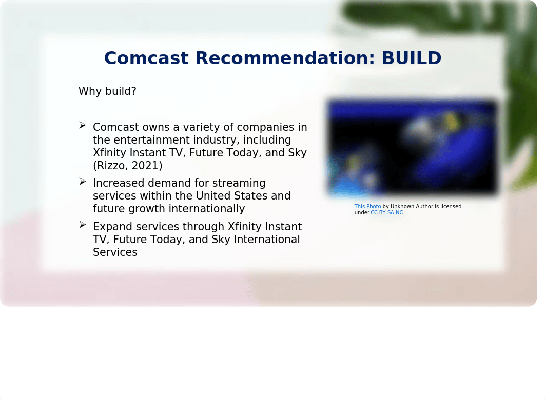 MBA 540 - 7-2 Milestone Three - Buy-Build-Ally Analysis.pptx_dpbhfq5s1rc_page4