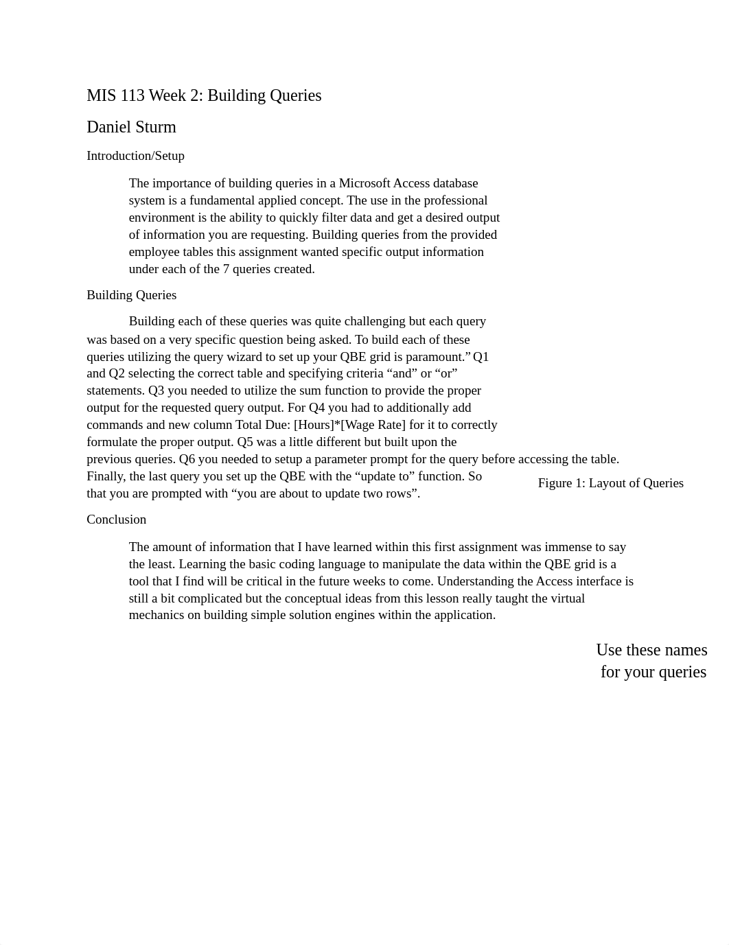 Daniel Sturm Query assignment .docx_dpbopmrtqe0_page1