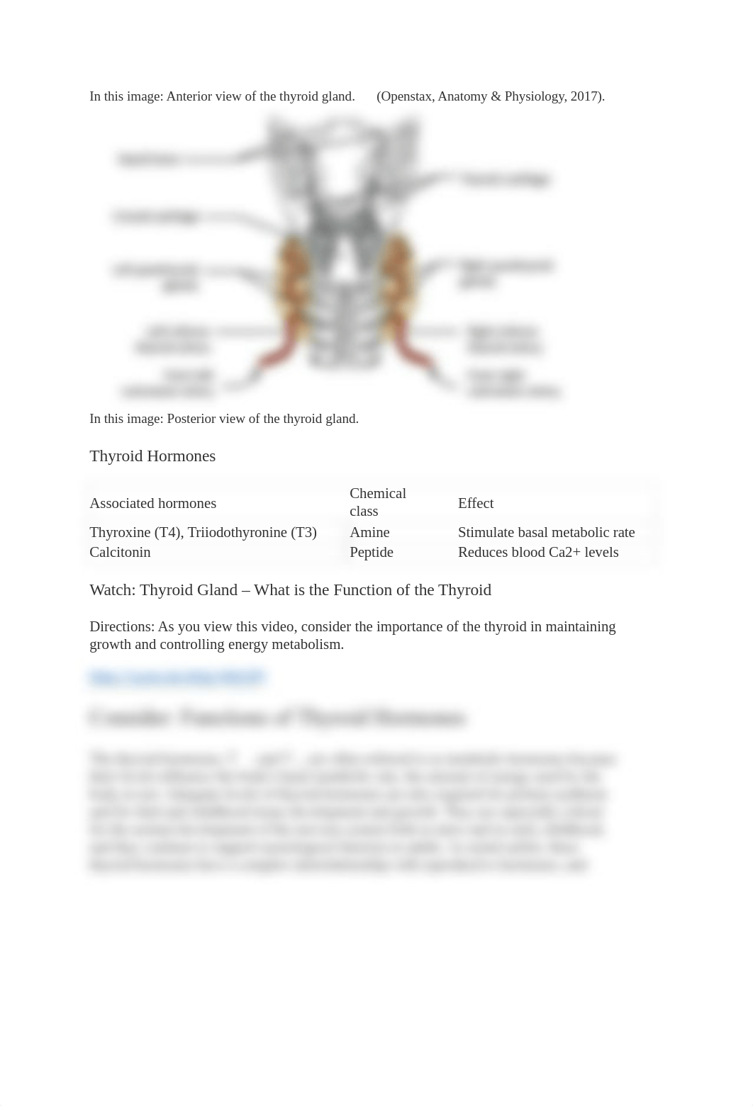 Thyroid, Parathyroid, Thymus, and Adrenal Glands.docx_dpbqd08e002_page3