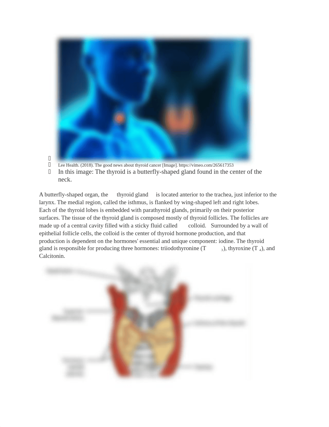 Thyroid, Parathyroid, Thymus, and Adrenal Glands.docx_dpbqd08e002_page2