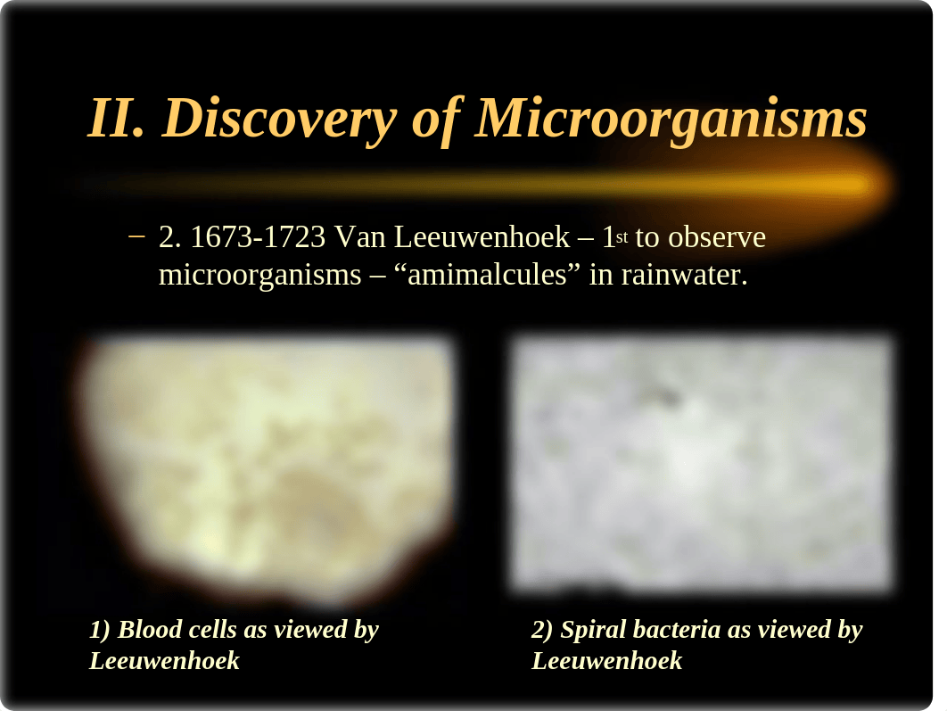 Ch 1 The Main Theams of Microbiology_dpbqyqxvnzw_page4