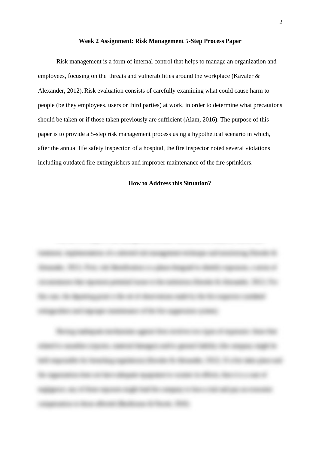 Week 2 Assignment Risk Management 5-Step Process Paper.docx_dpbvqwbc6f4_page2