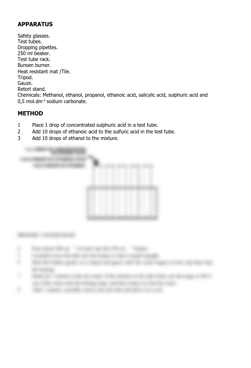 Vhembe West 2024 Physical Sciences Grade 12 Experiment 1 ( Esterification  worksheet).pdf_dpc2ocw794g_page2