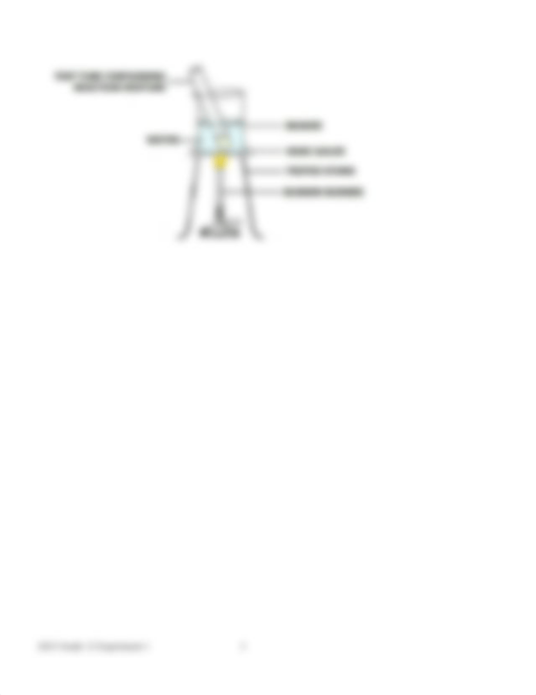 Vhembe West 2024 Physical Sciences Grade 12 Experiment 1 ( Esterification  worksheet).pdf_dpc2ocw794g_page3