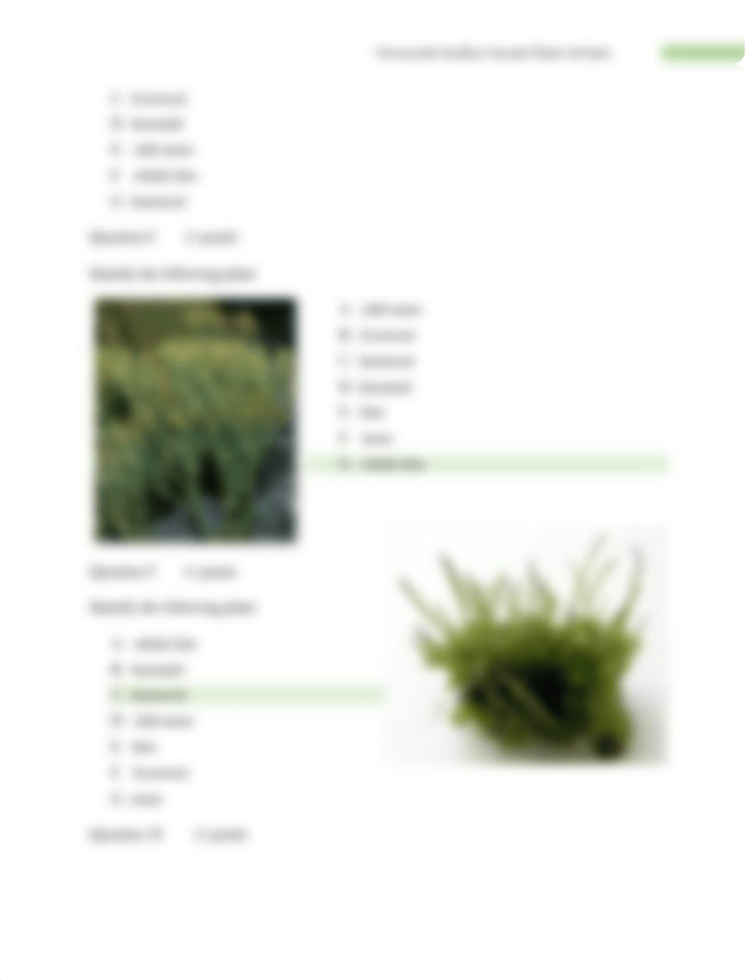 QUIZ 8 - Nonvascular Seedless Vascular Plants Lab Quiz.docx_dpc3jkxh1m4_page3