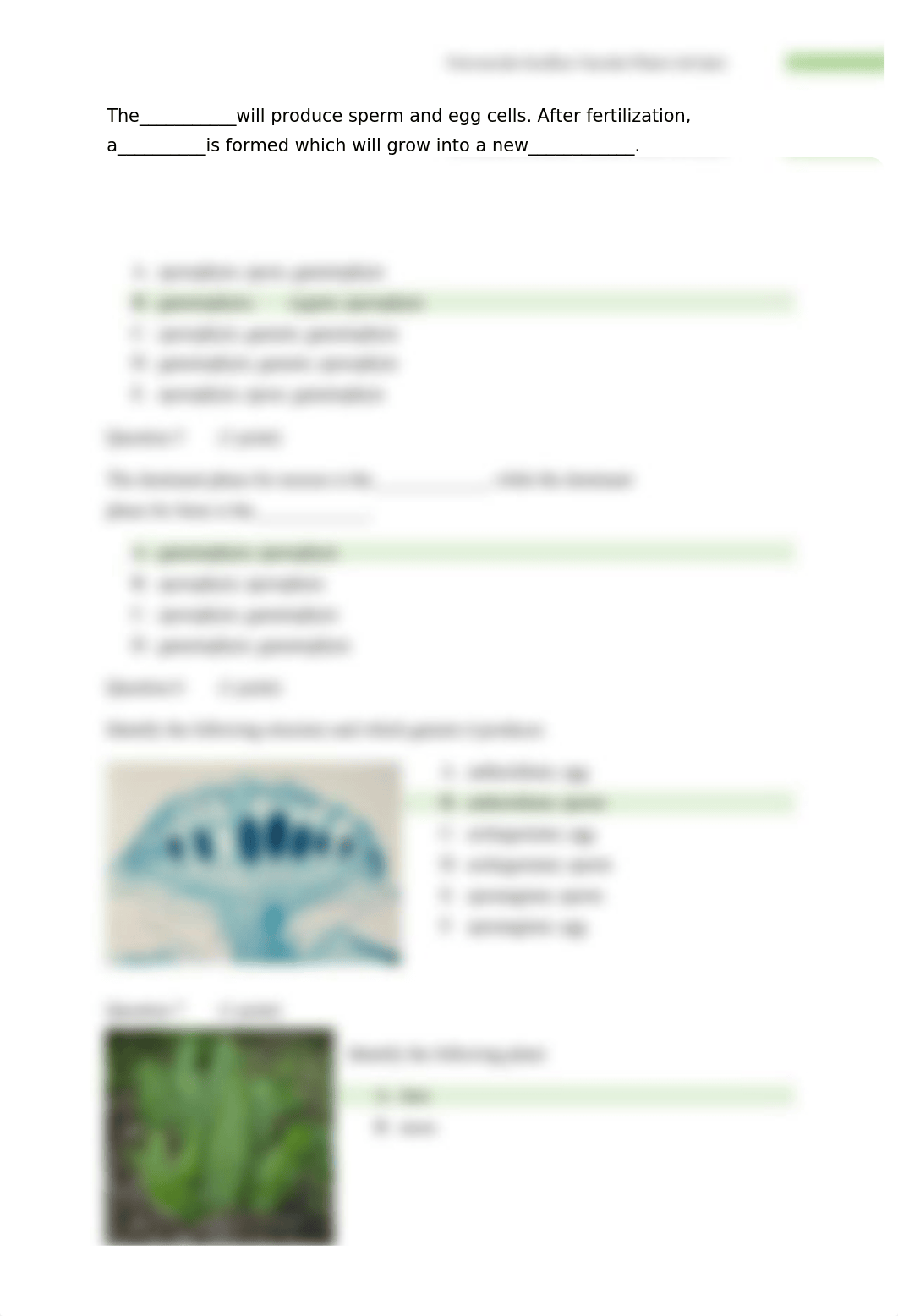 QUIZ 8 - Nonvascular Seedless Vascular Plants Lab Quiz.docx_dpc3jkxh1m4_page2