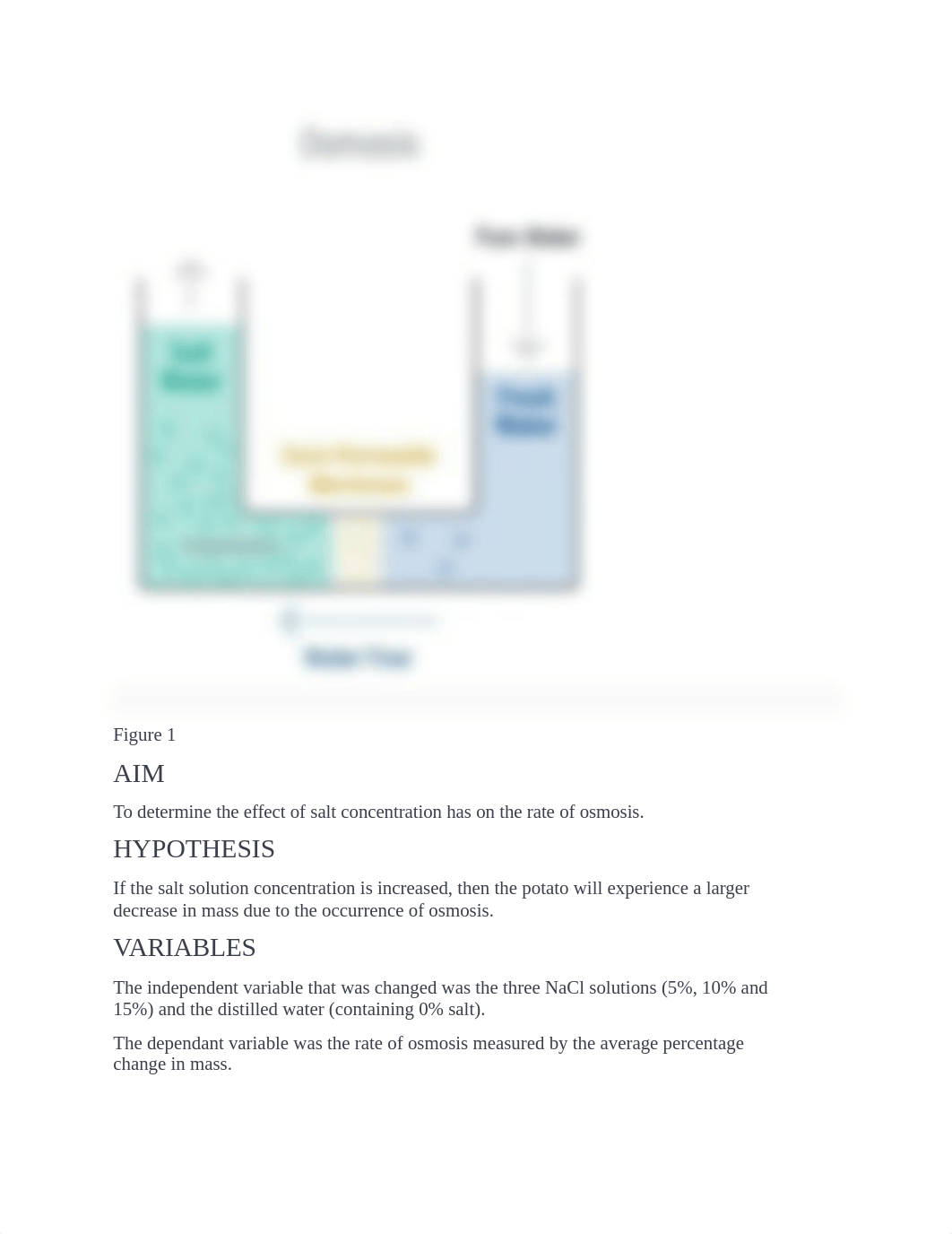 Effect of Salt Concentration on Osmosis in Potato Cells Lab.docx_dpc4oedih4z_page2