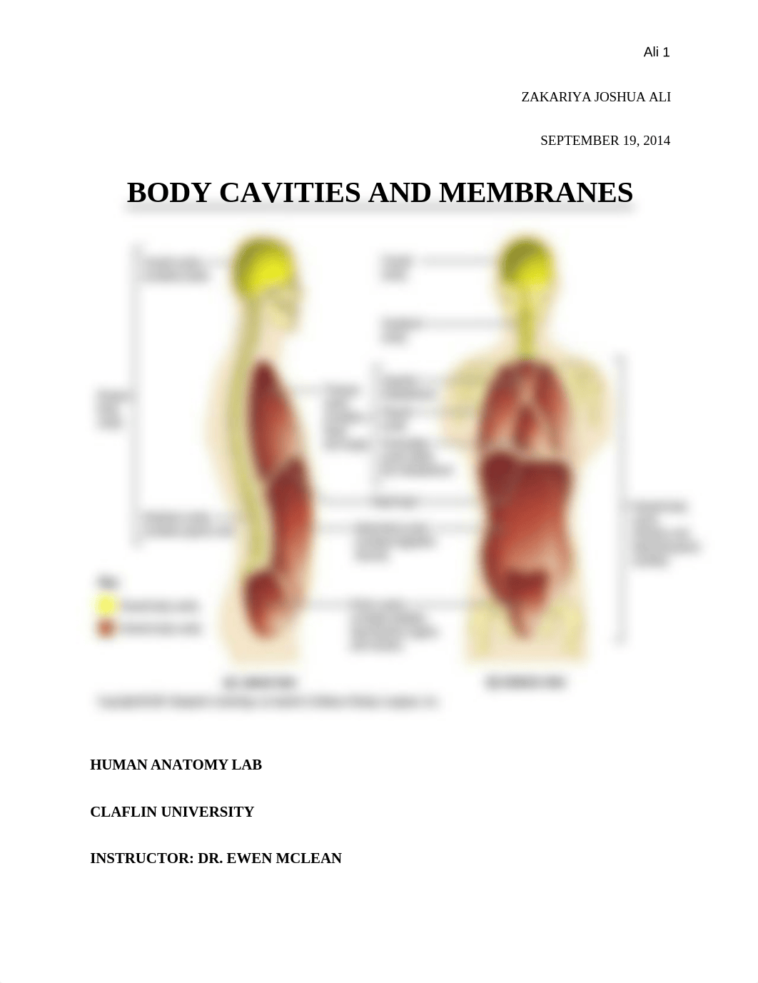 Body Cavities Lab Report_dpc5qpkw98b_page1