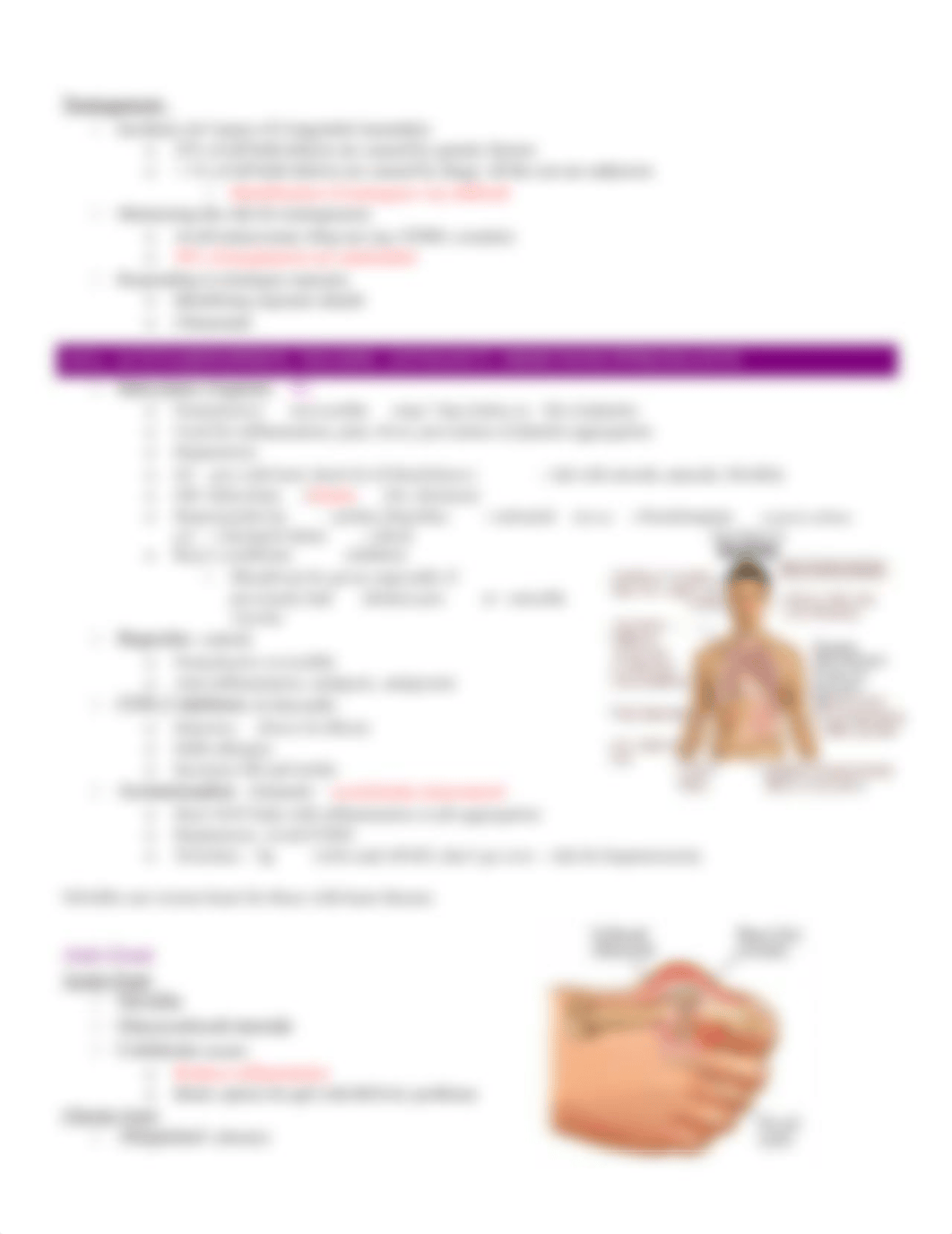 Pharm Semester Review_dpc64o4hmmy_page3