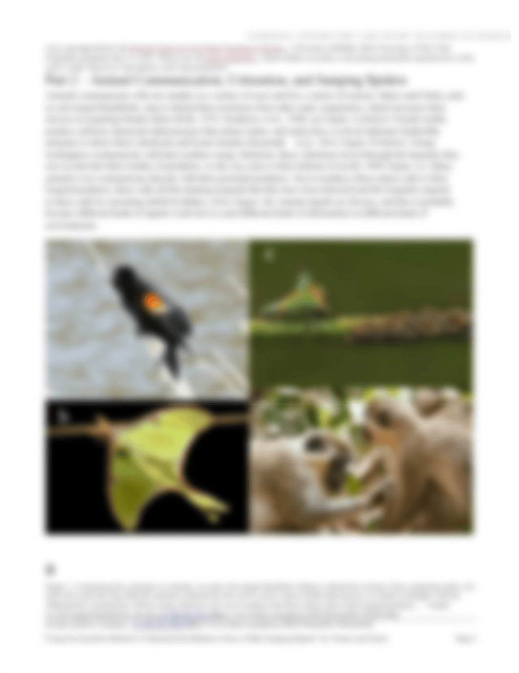 case_study_docs_case_studies_jumping_spiders.docx_dpc8ajrn4dj_page2