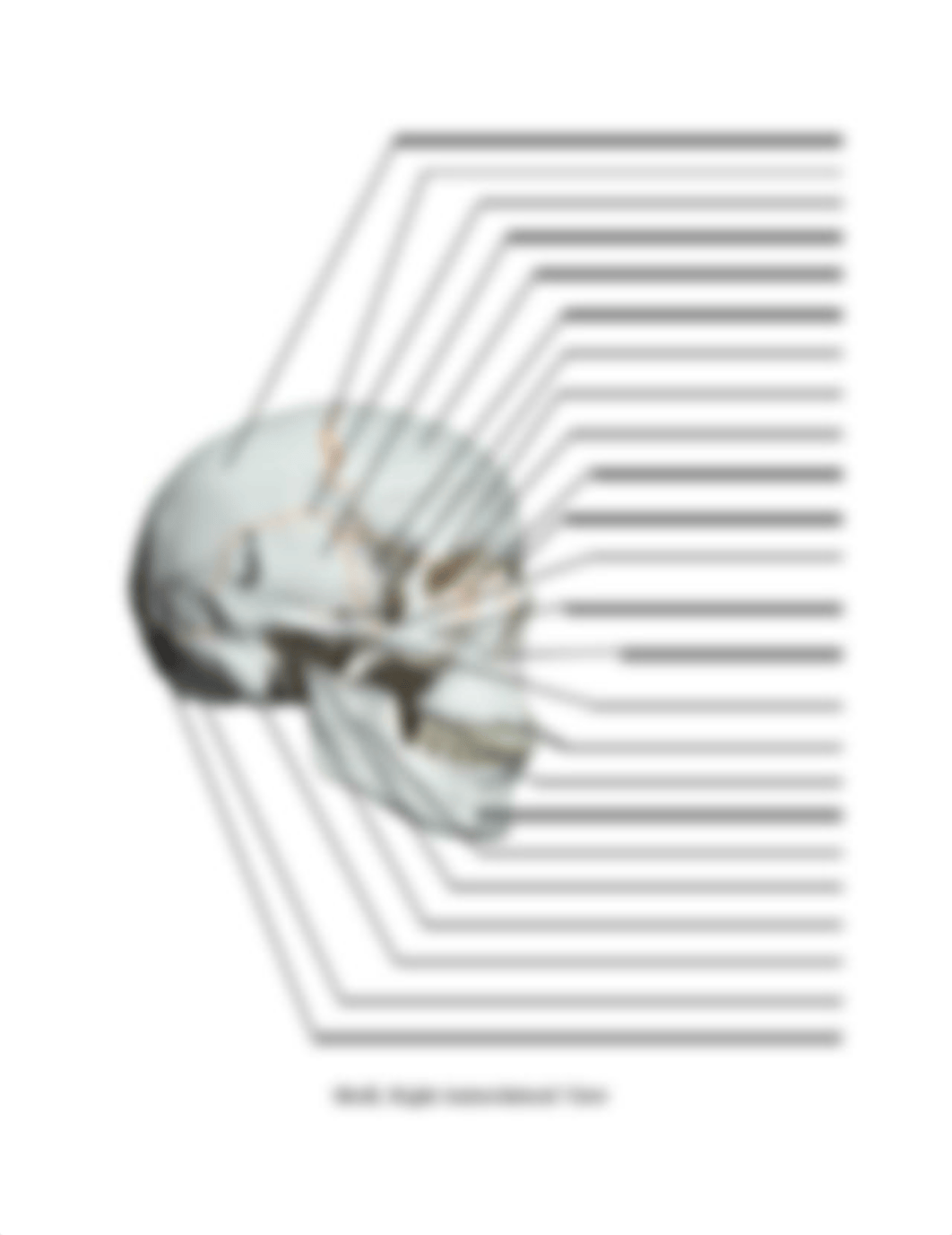 BONE LABELING EXERCISE.pdf_dpc8qx8phrf_page2