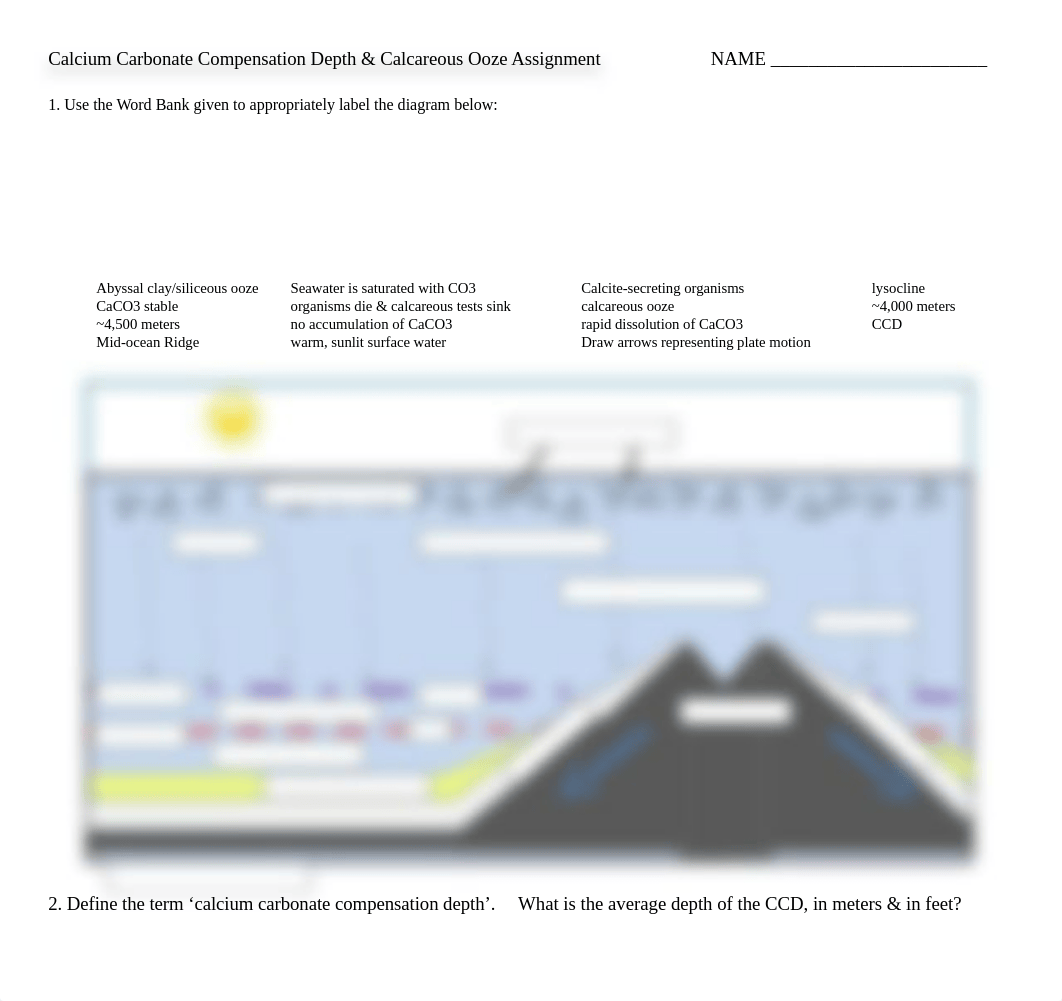 instructor_answer_sheet_ccd.docx_dpcuqlcbdtk_page1