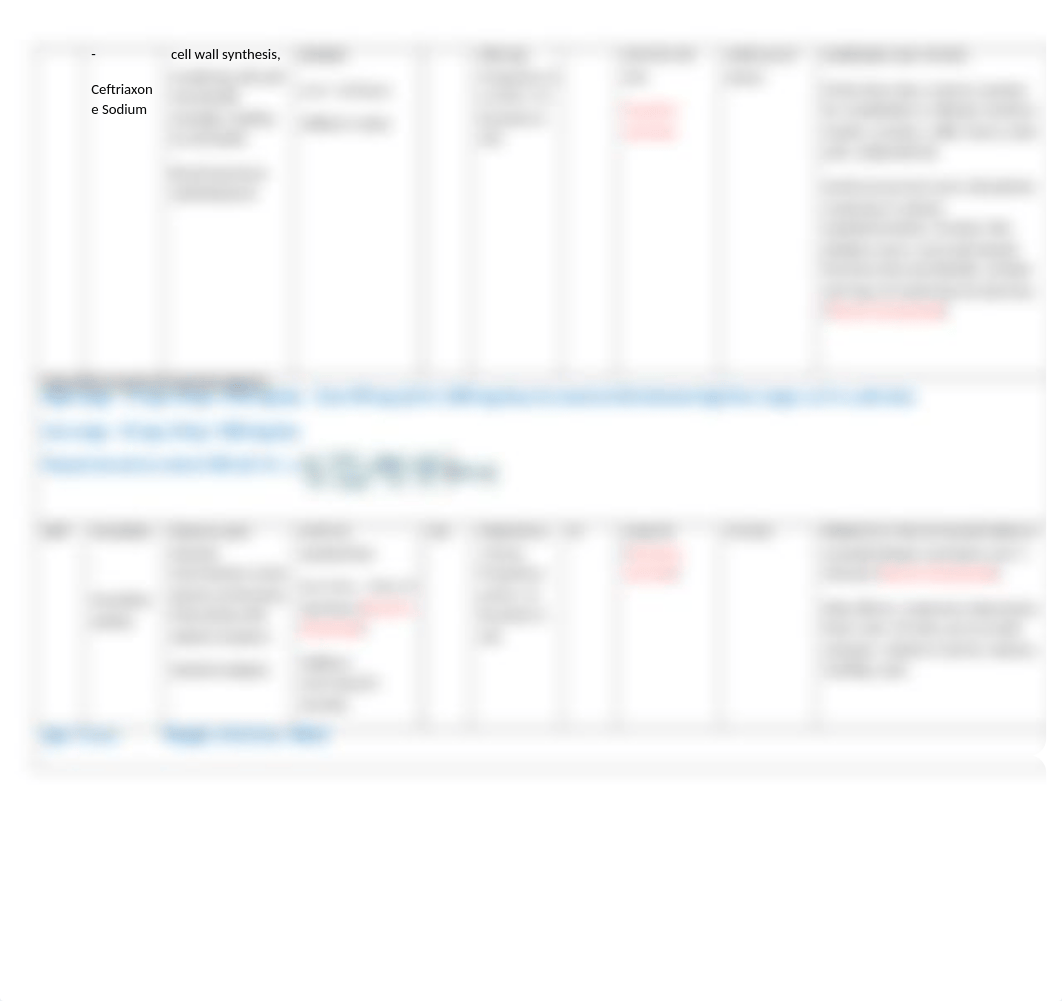 Pediatric Medication Sheet.docx_dpcxz1jtmjg_page2