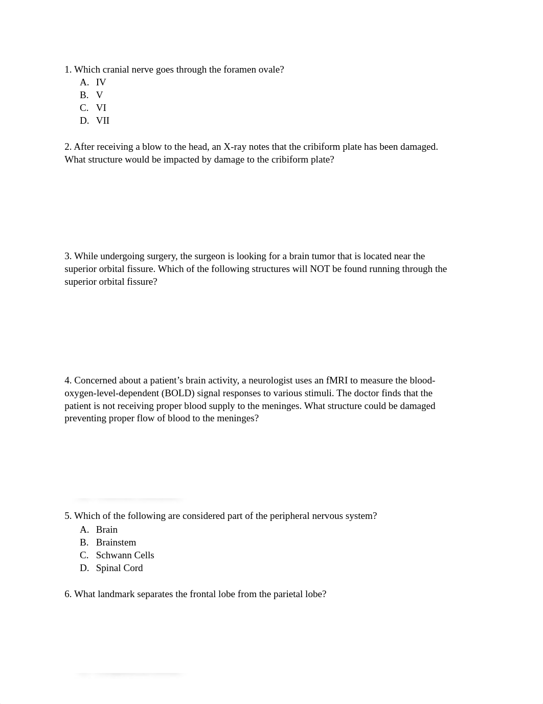 L4 Skull and Brain PQ.docx_dpd223gc5sk_page1