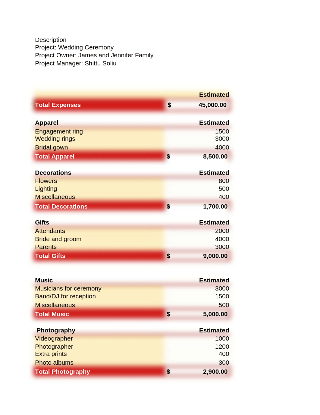 Wedding budget module 4.xlsx_dpd63nqt9i4_page1