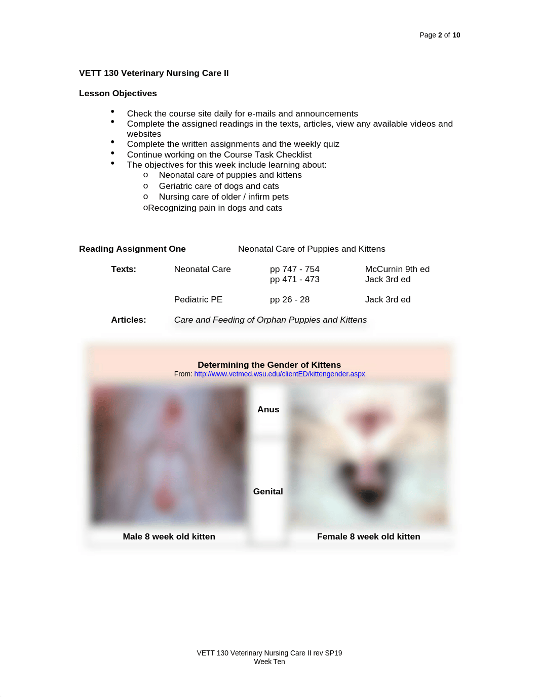 10 VETT 130 Neonatal-Geriatric-Pain SP19 Wk TEN.doc_dpd6vfrjzke_page2