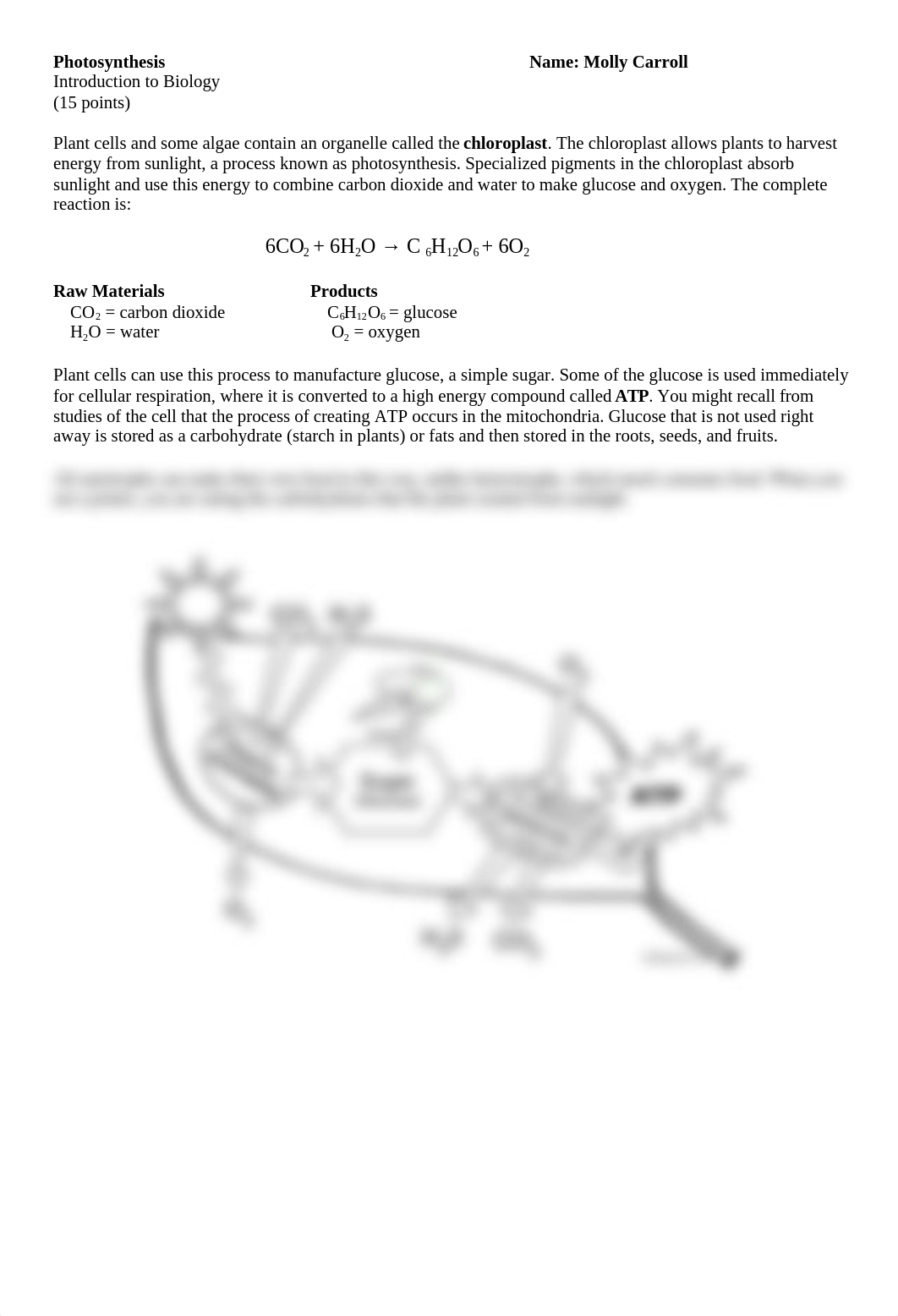 Photosynthesis_Worksheet_Carroll.docx_dpd9hjr8mo7_page1