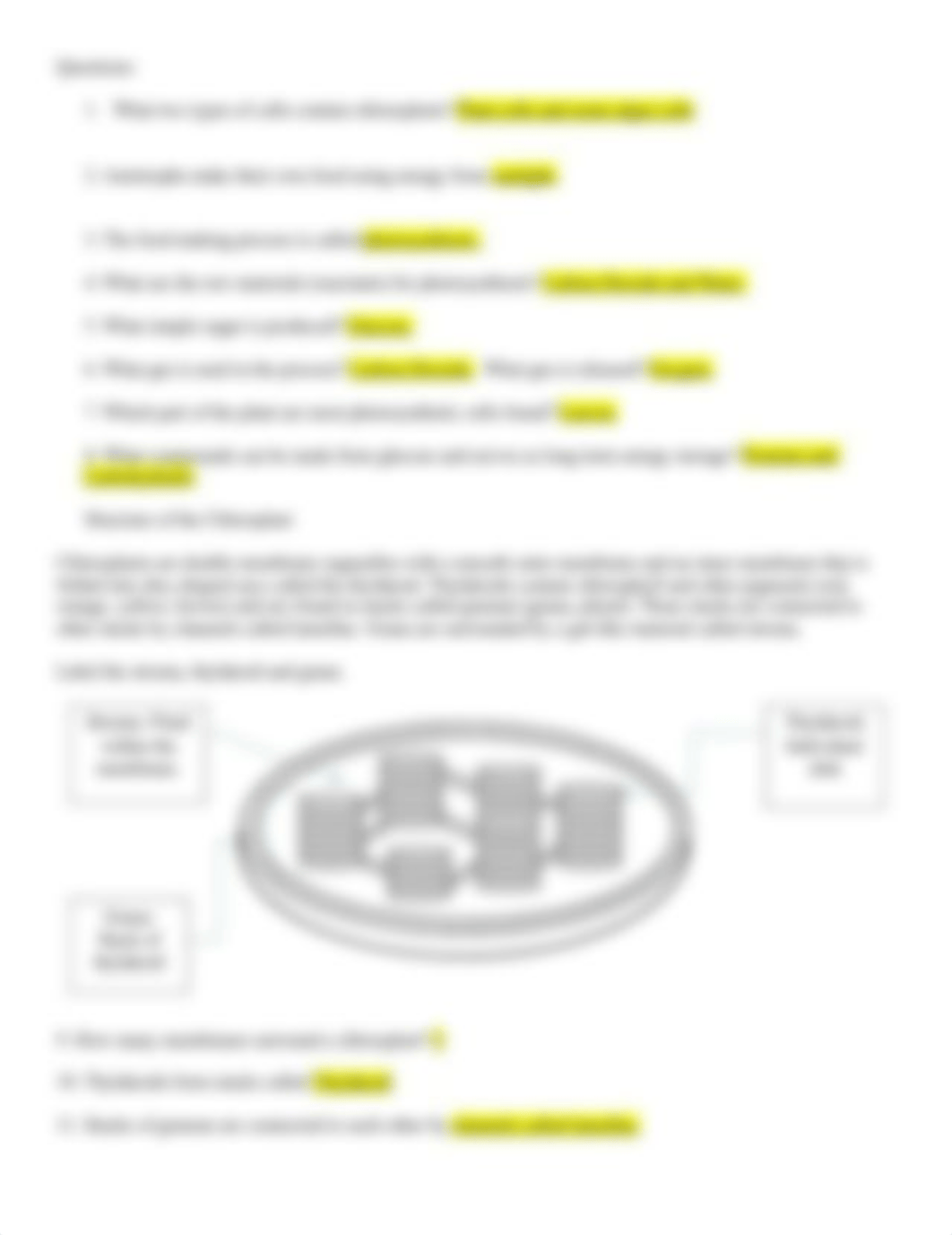 Photosynthesis_Worksheet_Carroll.docx_dpd9hjr8mo7_page2