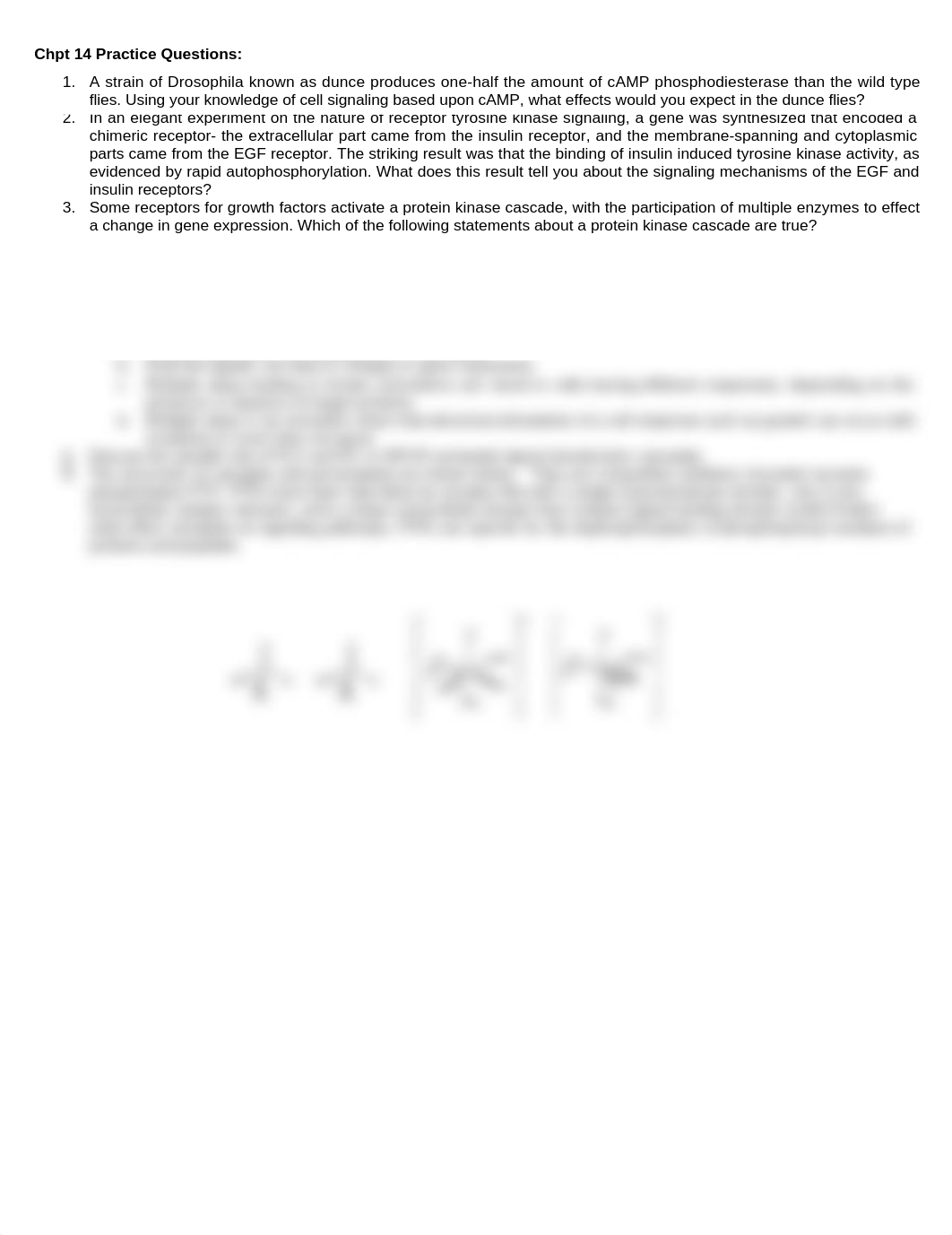 Chpt 14 Practice Questions_dpdc026rul8_page1