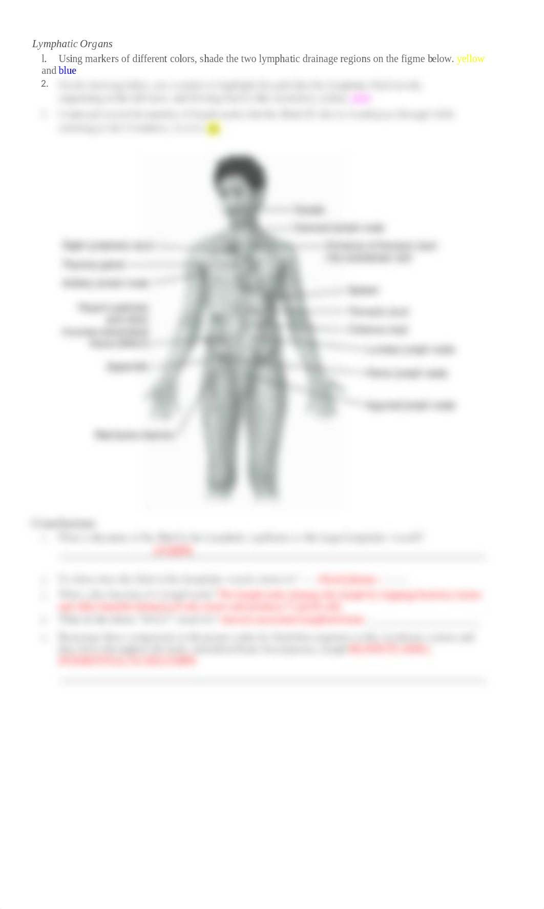 Danira Sosa - 12LabInvestigation_LymphaticSystem.docx_dpddsy5ub6s_page3