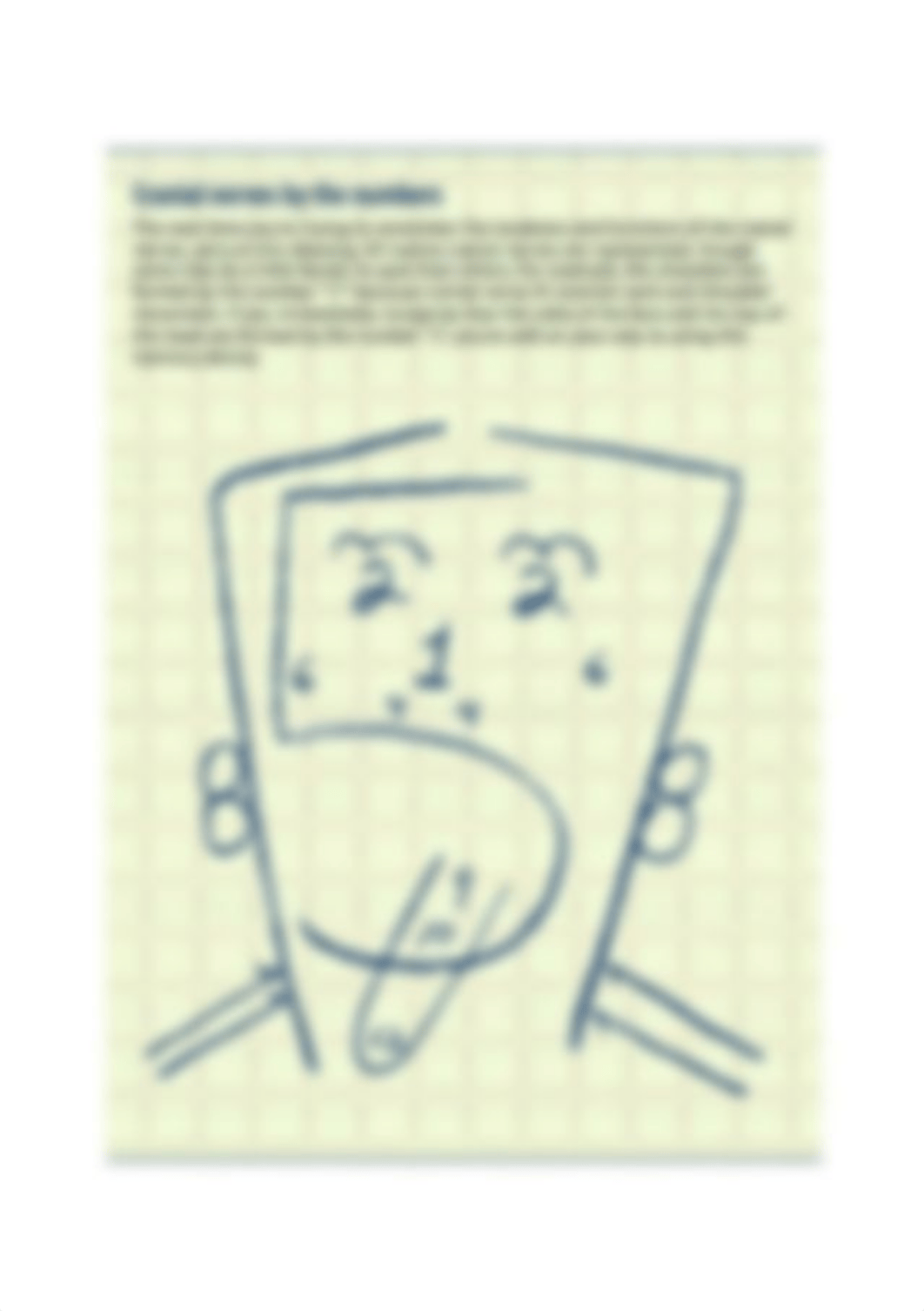 Cranial nerve man.jpg_dpdif93gtwe_page1