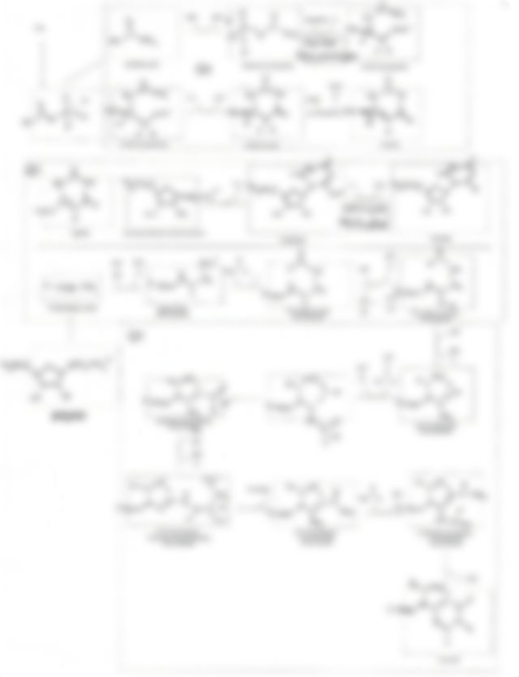 Lab 7.pdf_dpdmqc4i58s_page3