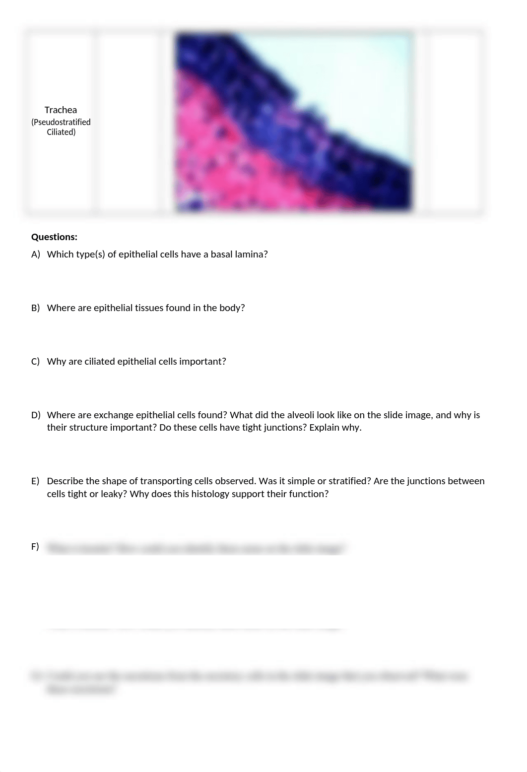 30 - Histology_RPT.docx_dpdoa6ybo8u_page3