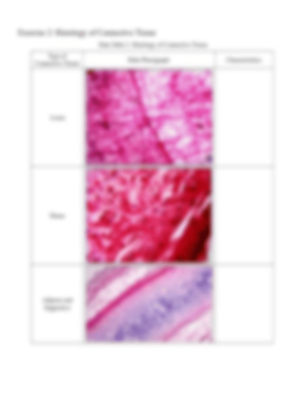 30 - Histology_RPT.docx_dpdoa6ybo8u_page4