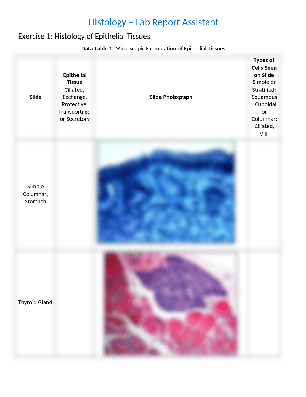 30 - Histology_RPT.docx_dpdoa6ybo8u_page1