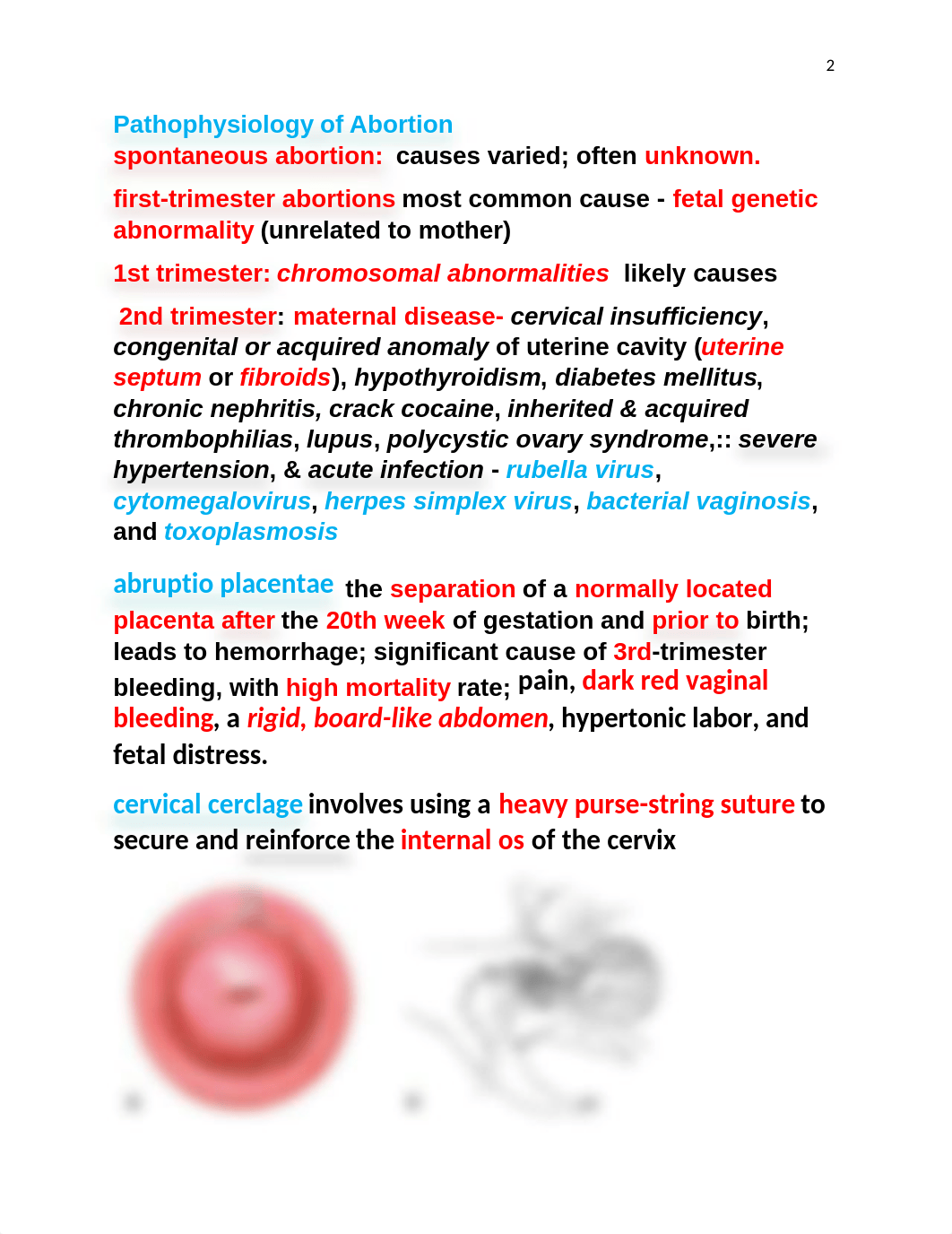 Ricci - Chapter 19 - Pregnancy Related Complications.docx_dpdobqy9qkc_page2