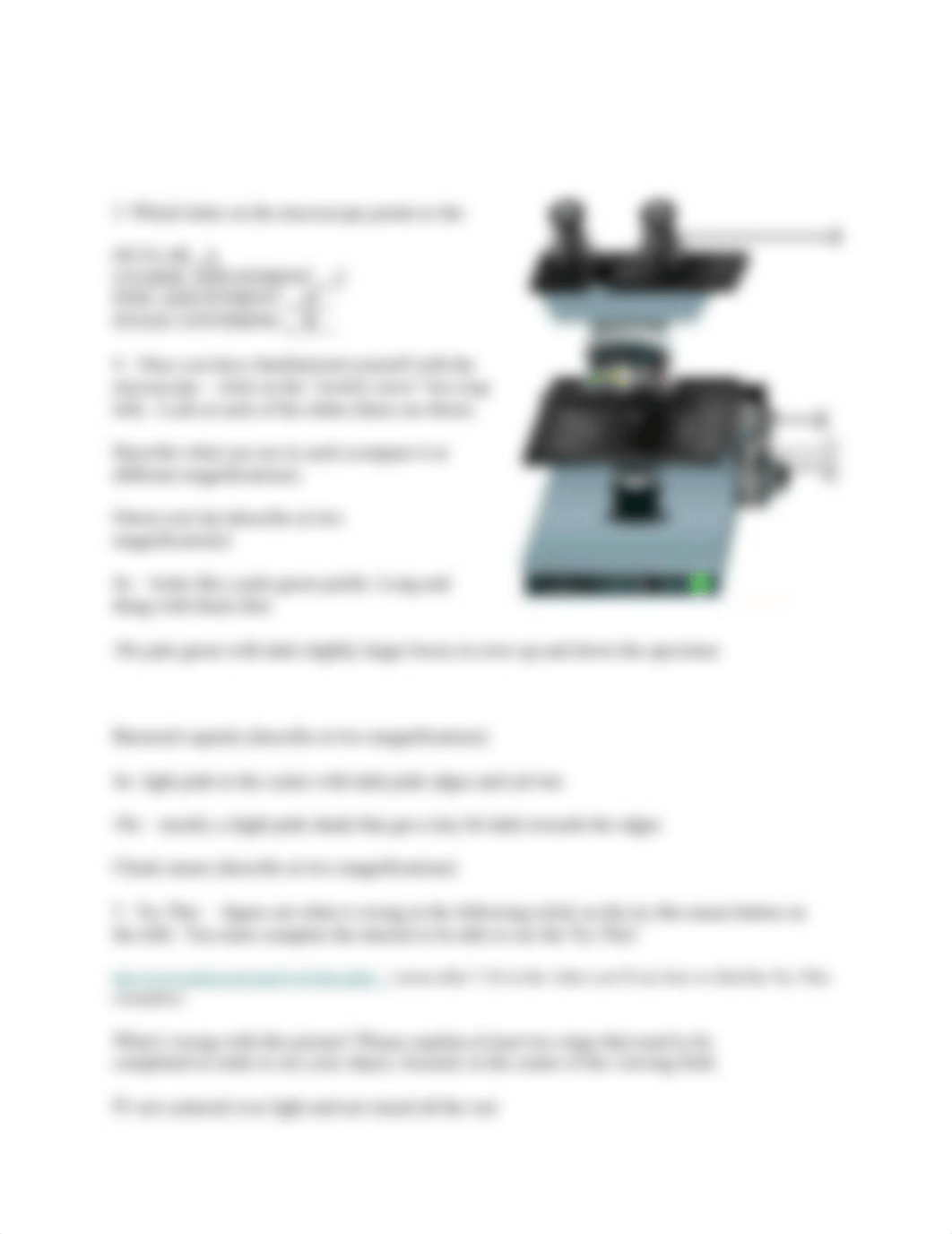 Virtual Microscope Worksheet.docx_dpdpqk68127_page2