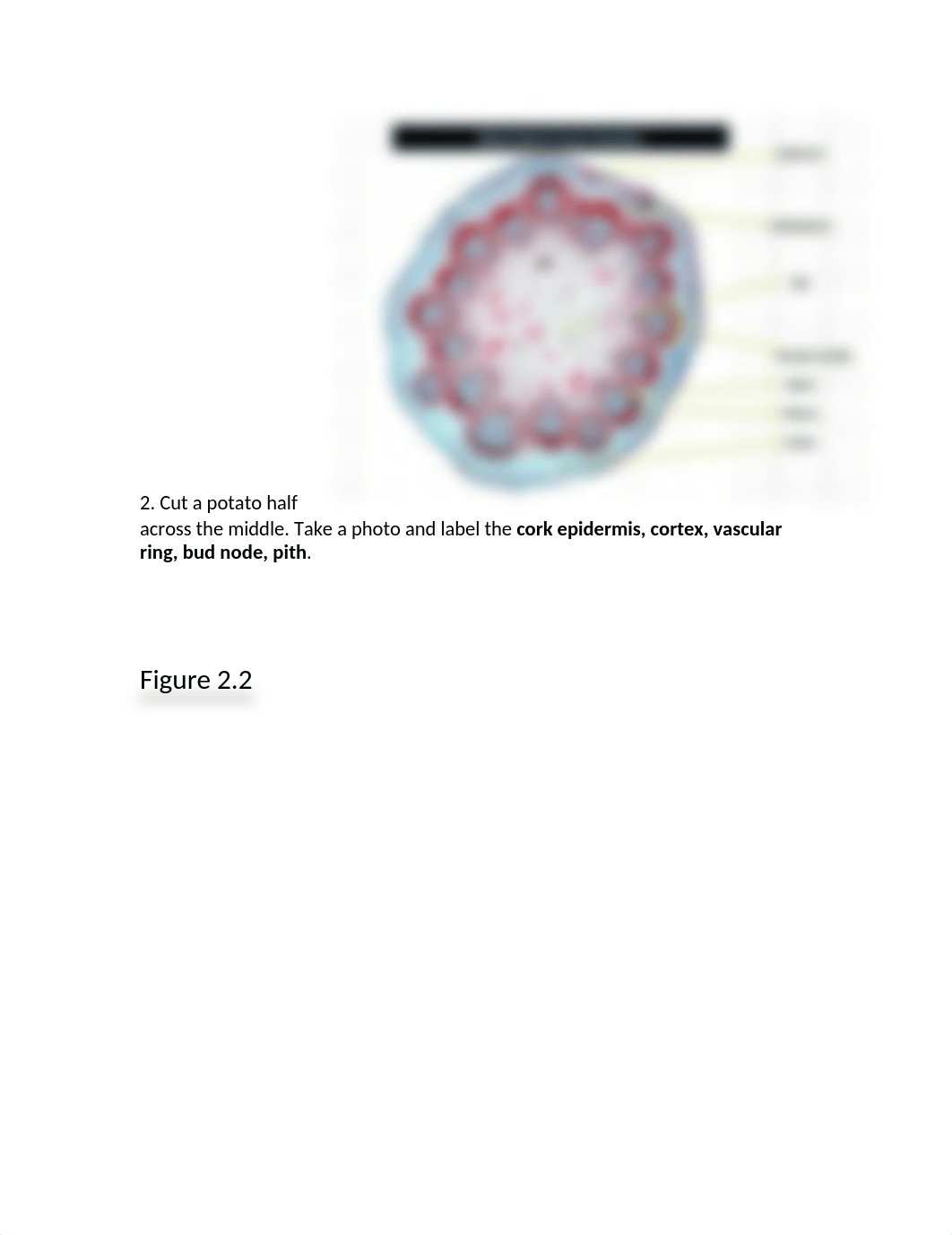 LAB REPORT 2_dpdrp04lsmg_page3