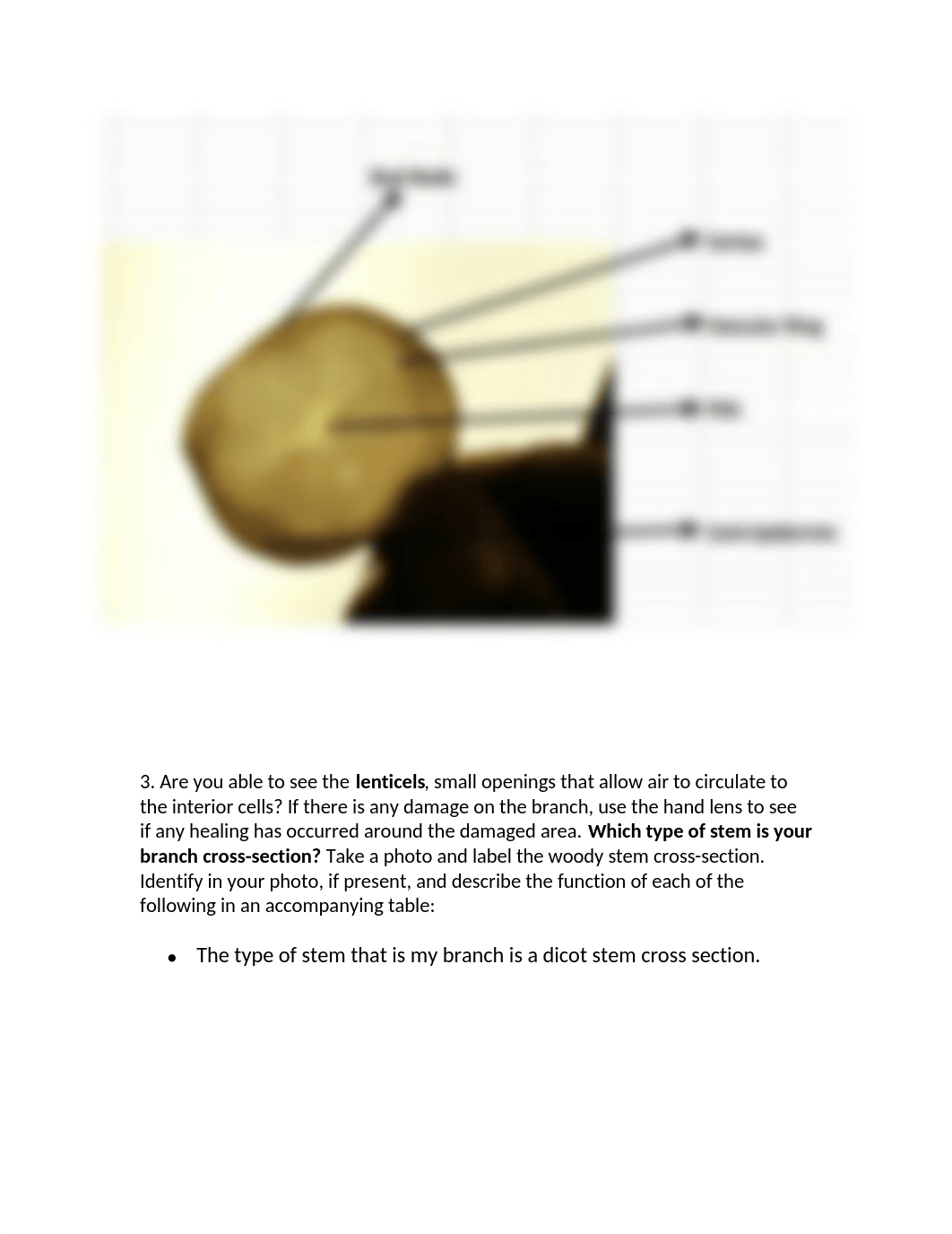 LAB REPORT 2_dpdrp04lsmg_page4